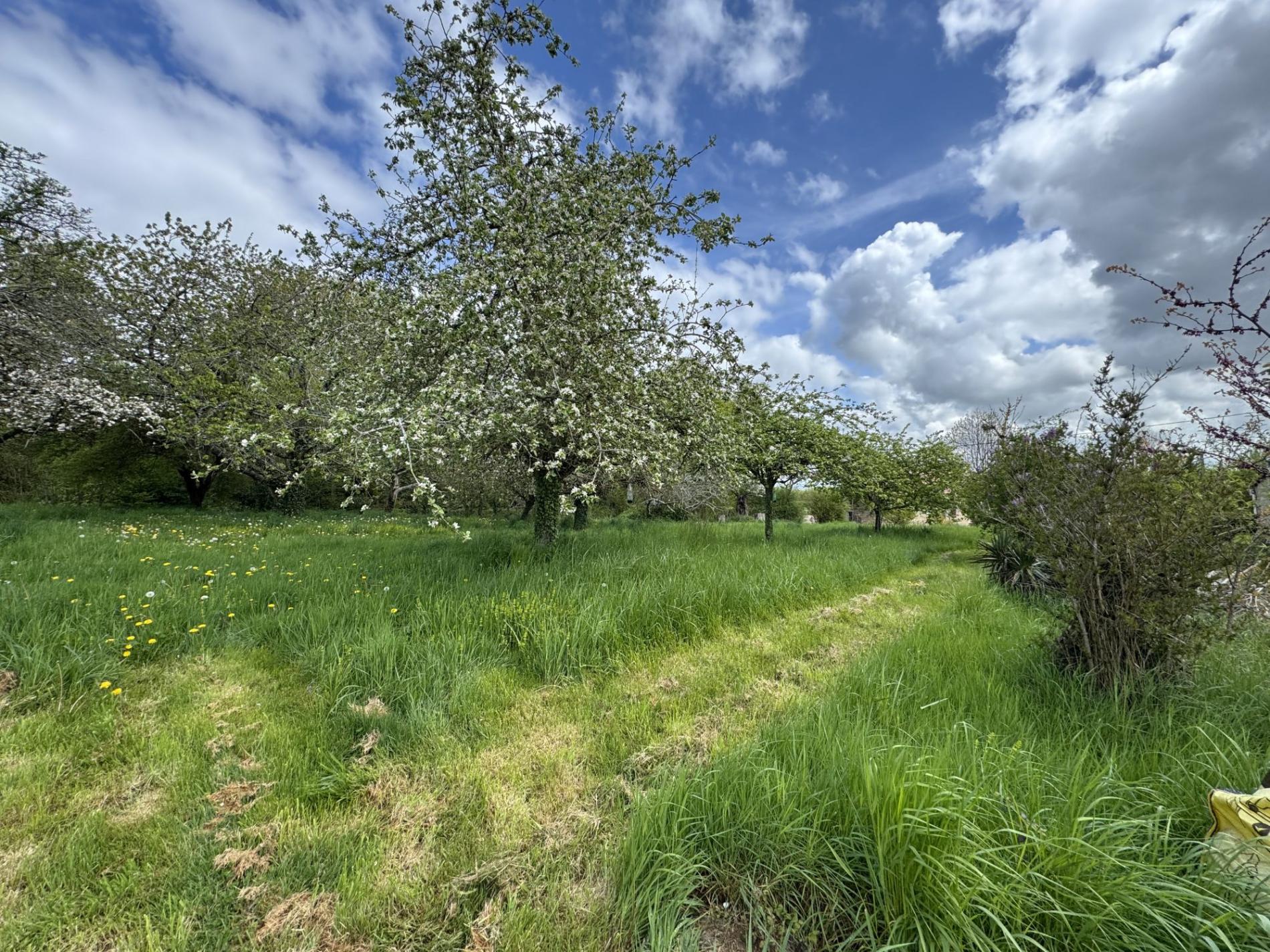 Appartement en centre ville !