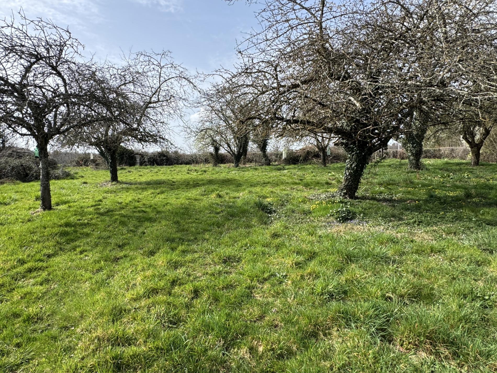 Appartement en centre ville !