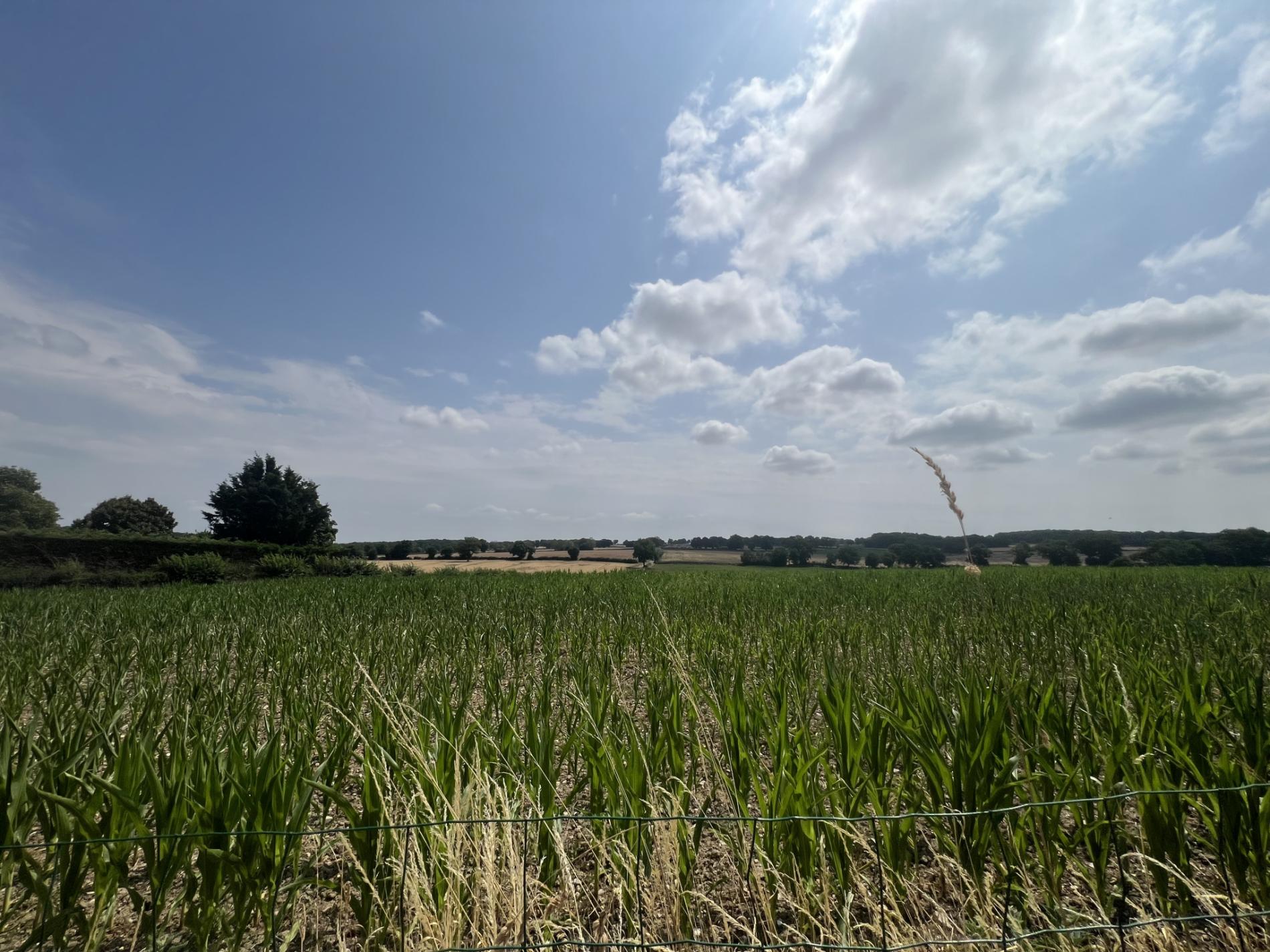 Appartement en centre ville !