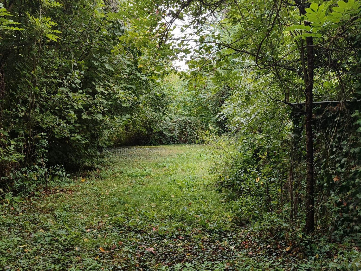 Appartement en centre ville !