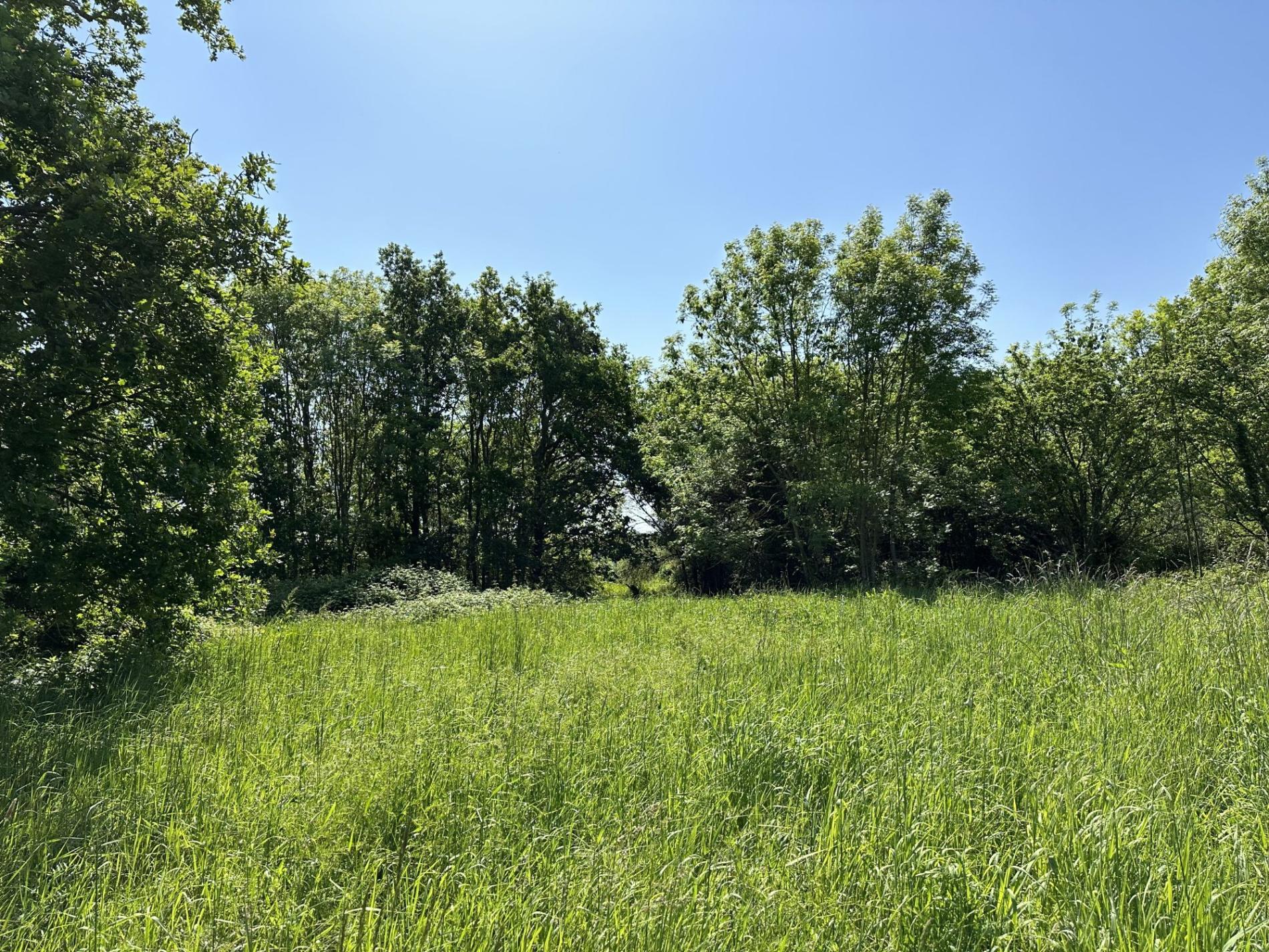 Appartement en centre ville !