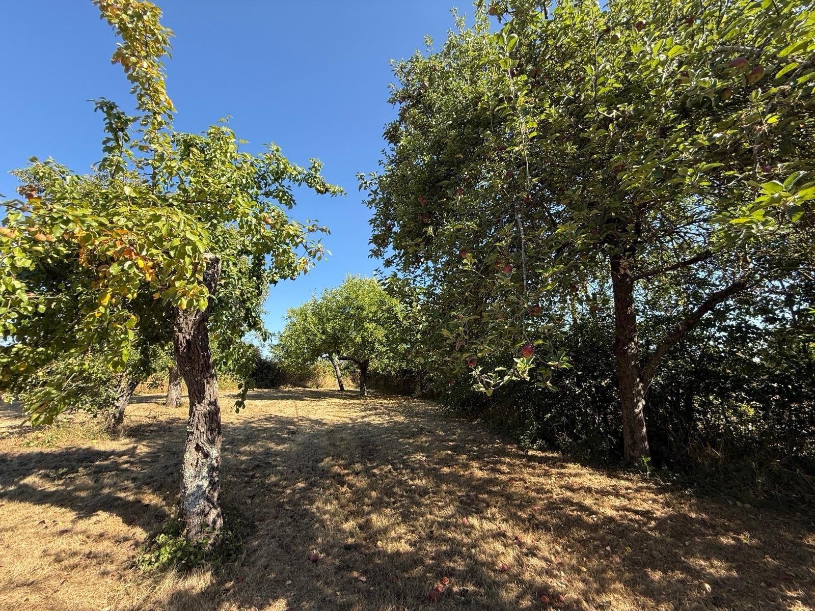 Appartement en centre ville !