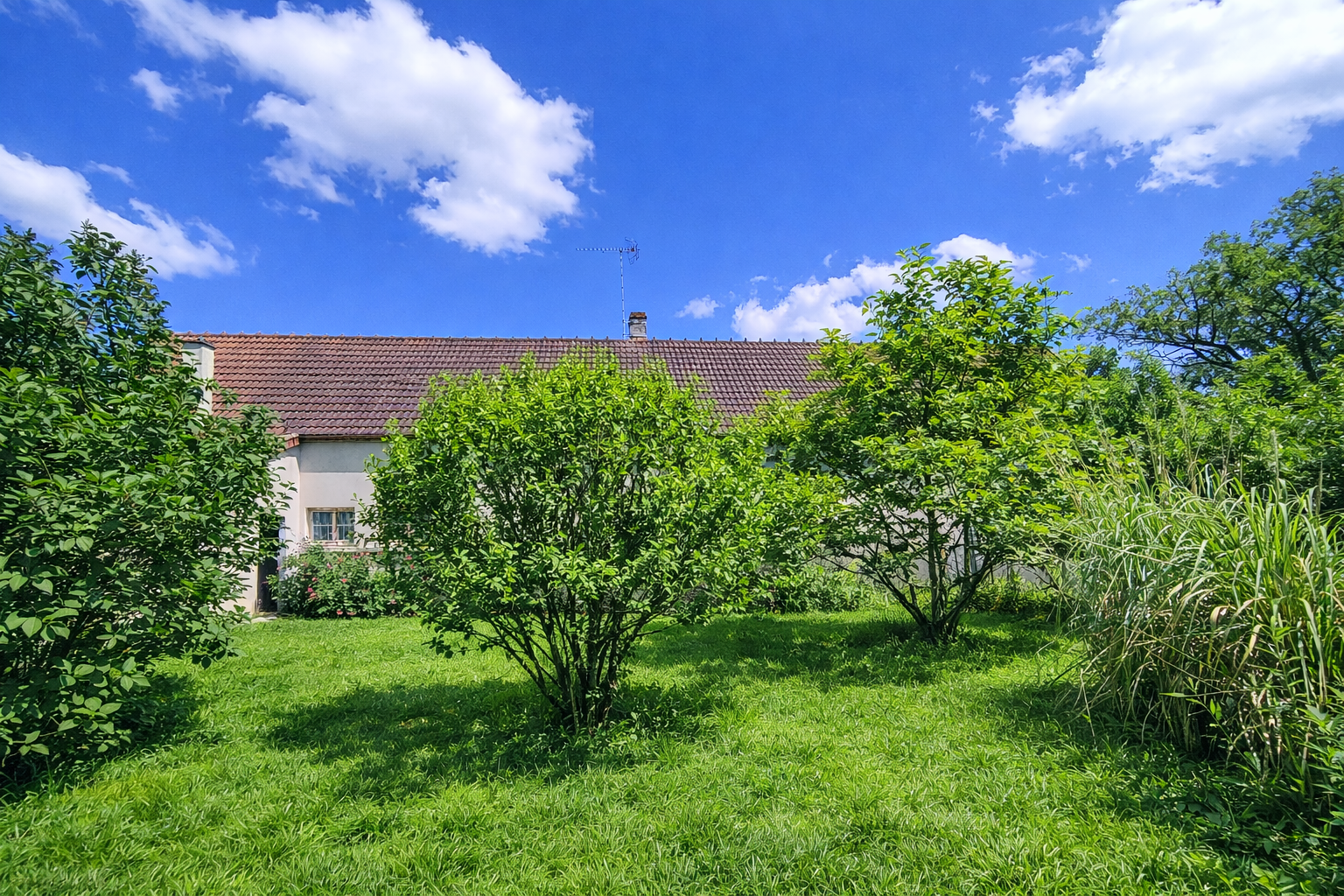 Appartement en centre ville !