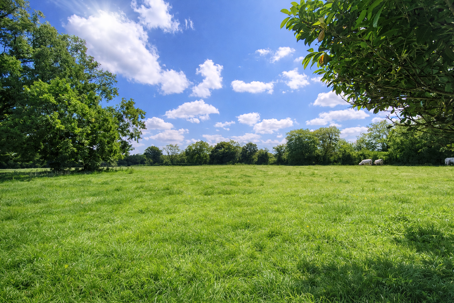 Appartement en centre ville !