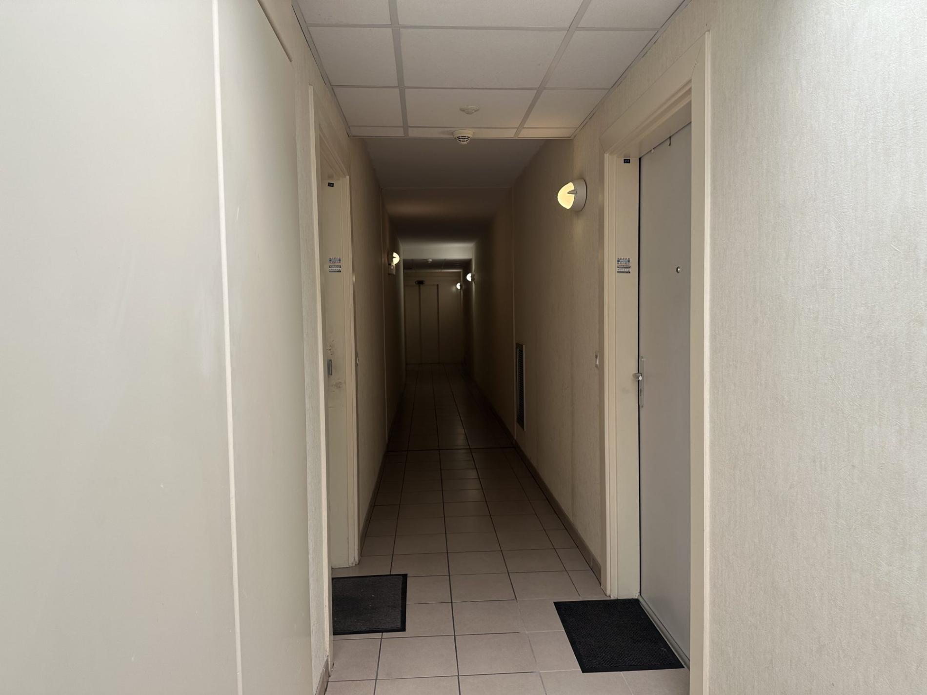 Appartement 3 pièces 65 m2 !