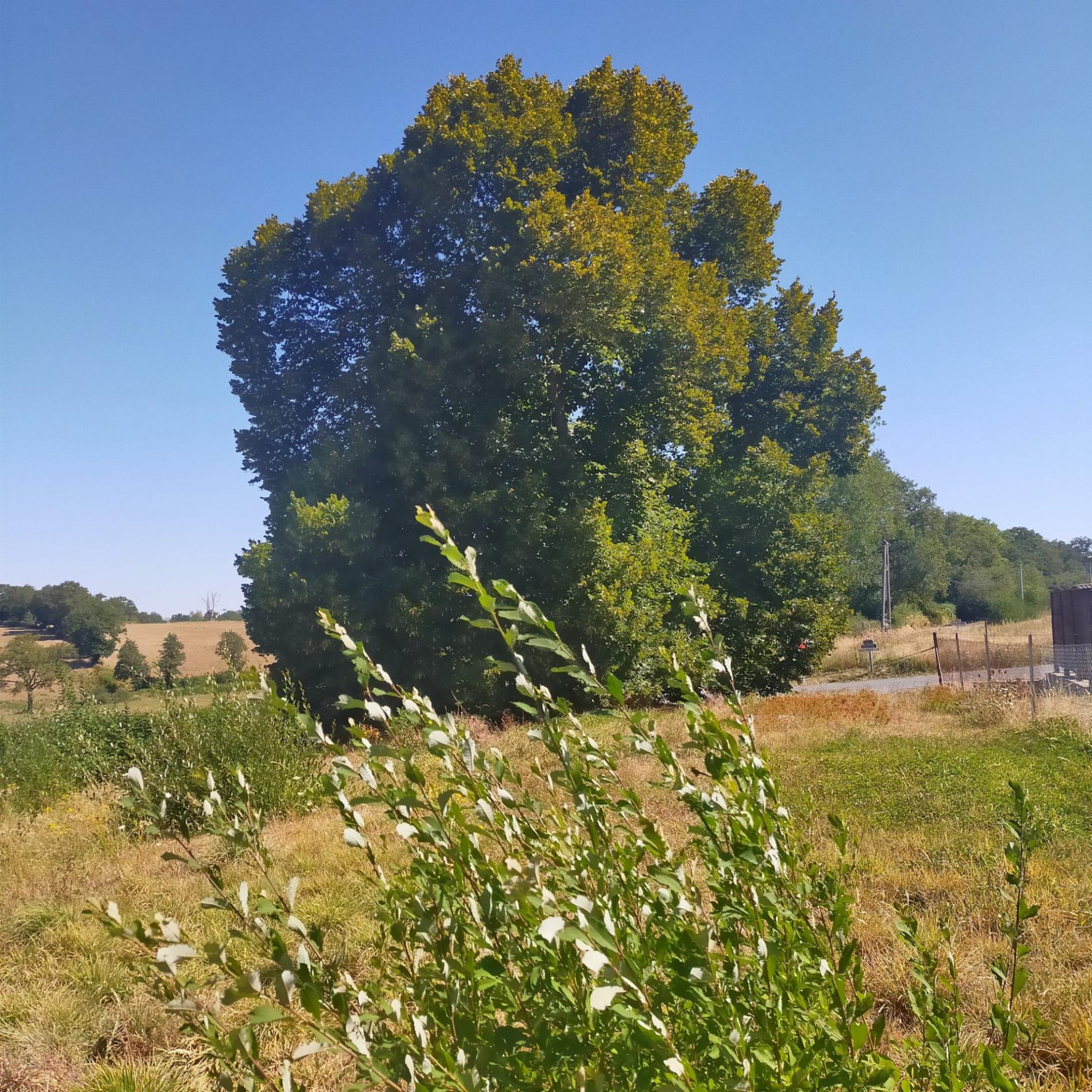 Maison de campagne !