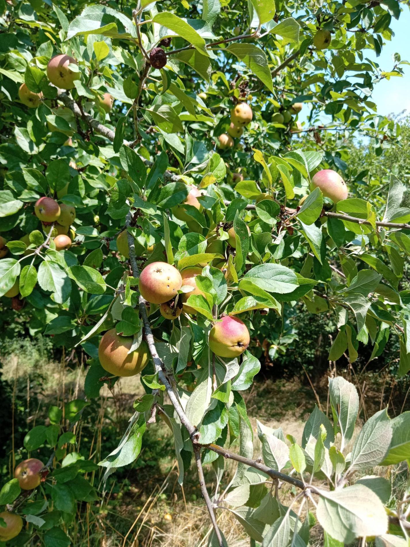 Maison de campagne !