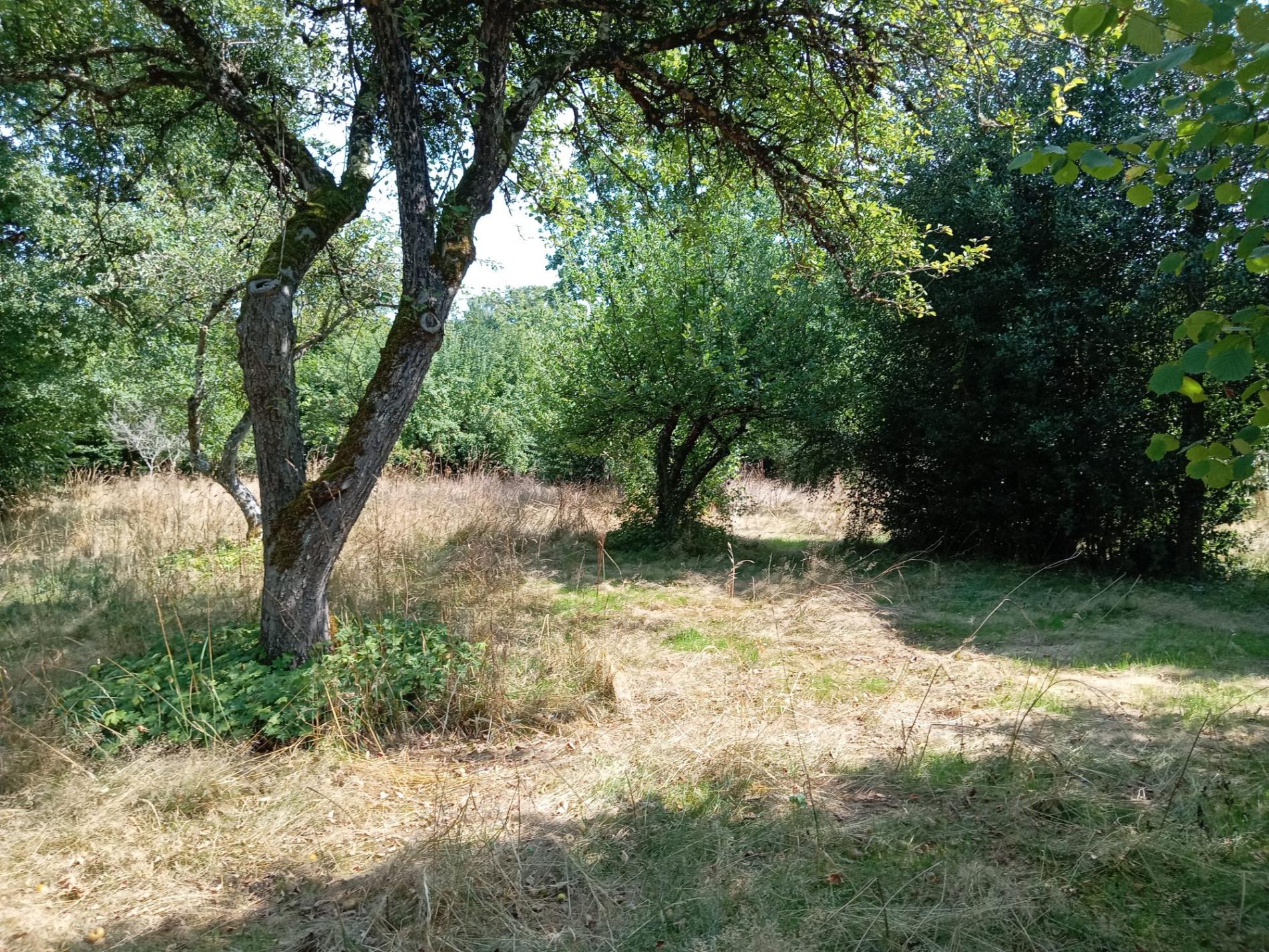 Maison de campagne !