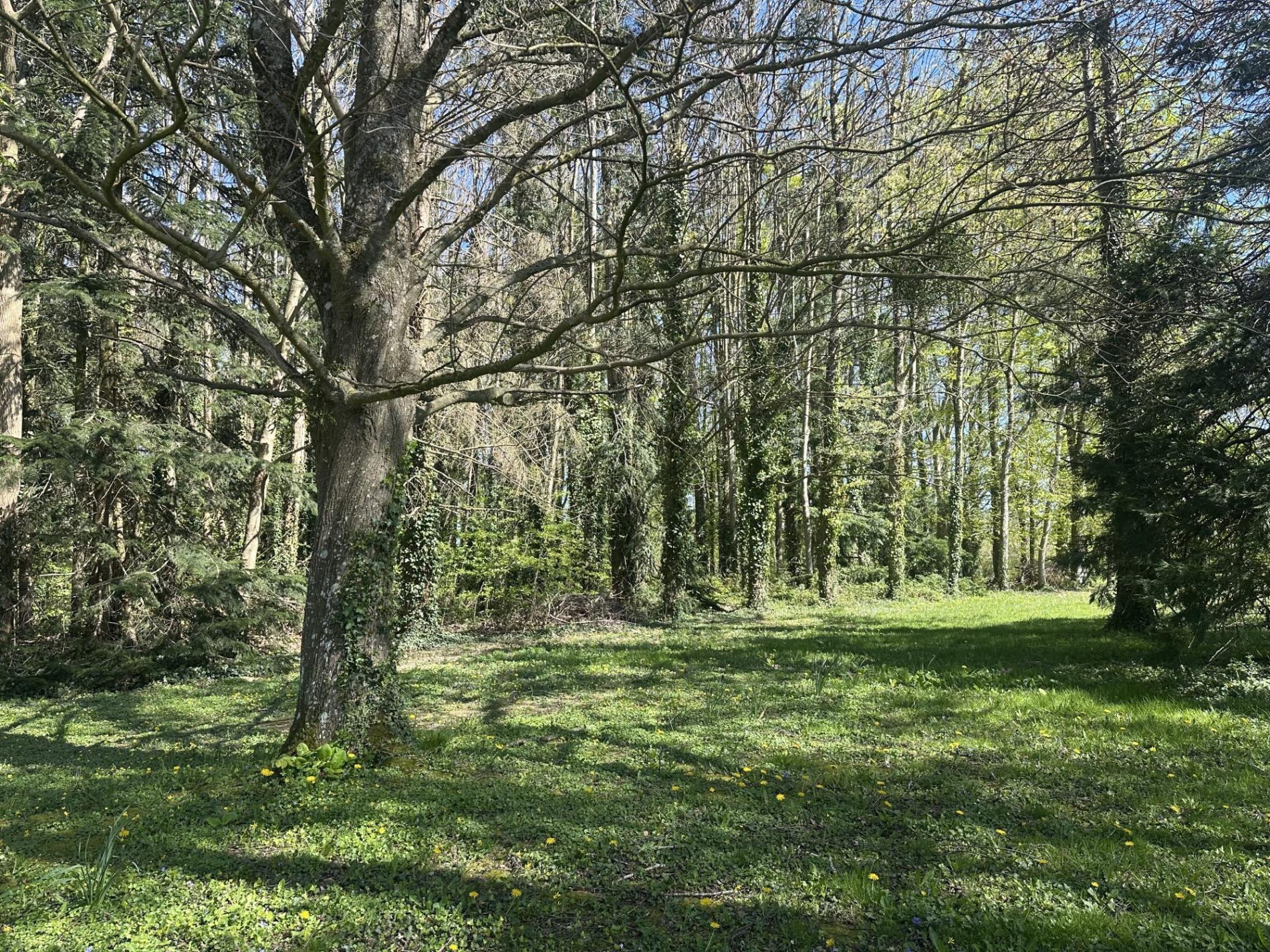 Maison de campagne sur 2 ha !