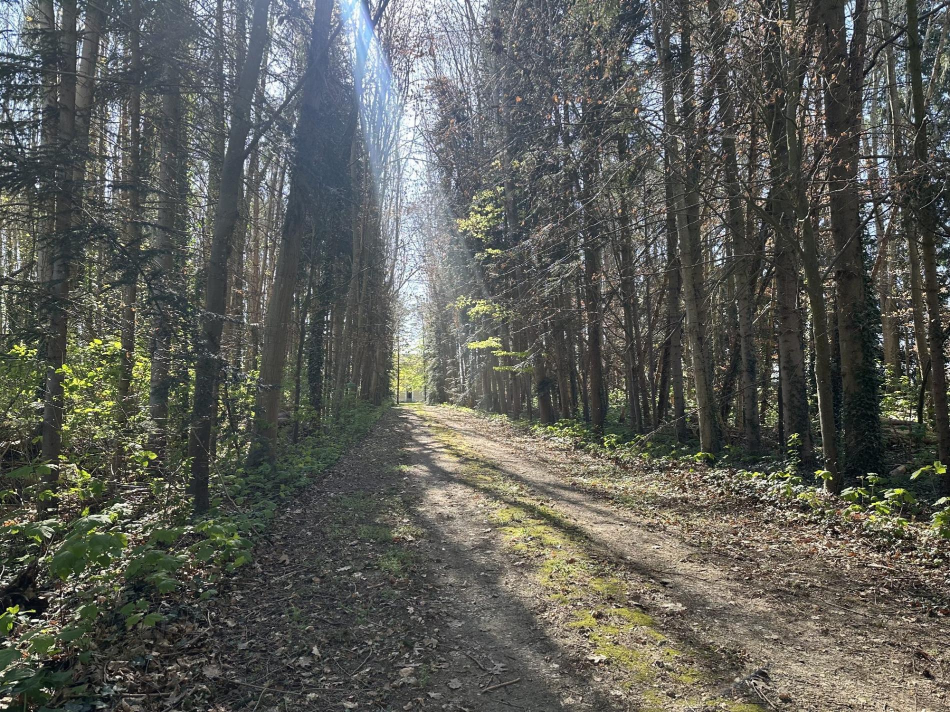 Maison de campagne sur 2 ha !