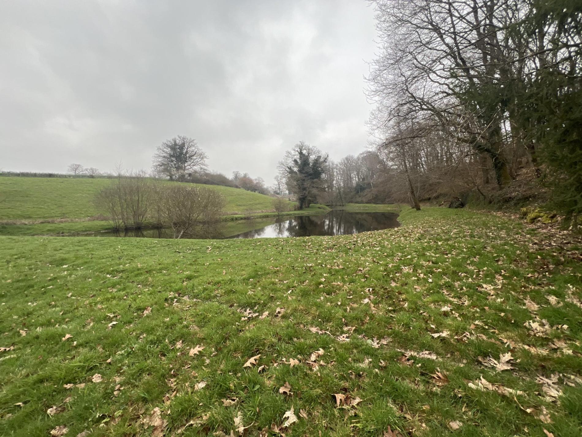 Etang de 4000 m2 sur une parcelle de 5 733 m2 !