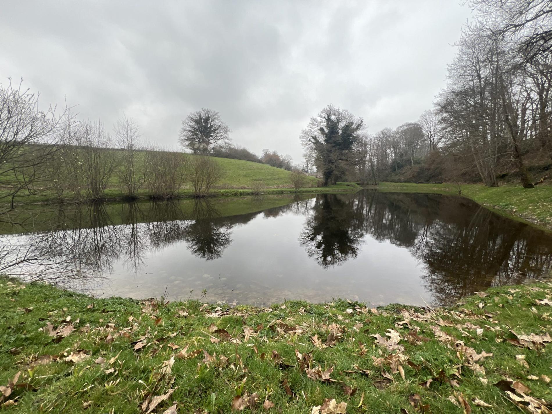 Etang de 4000 m2 sur une parcelle de 5 733 m2 !