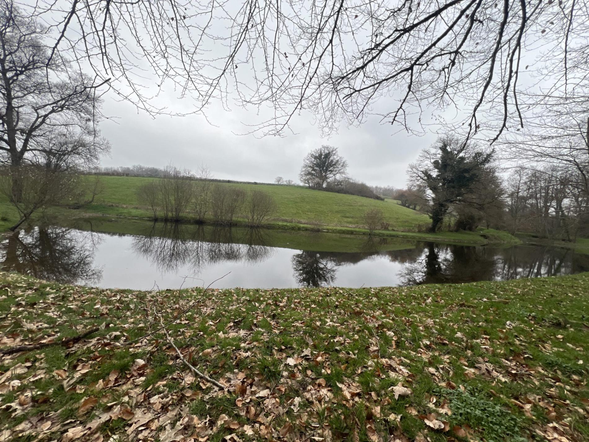 Etang de 4000 m2 sur une parcelle de 5 733 m2 !