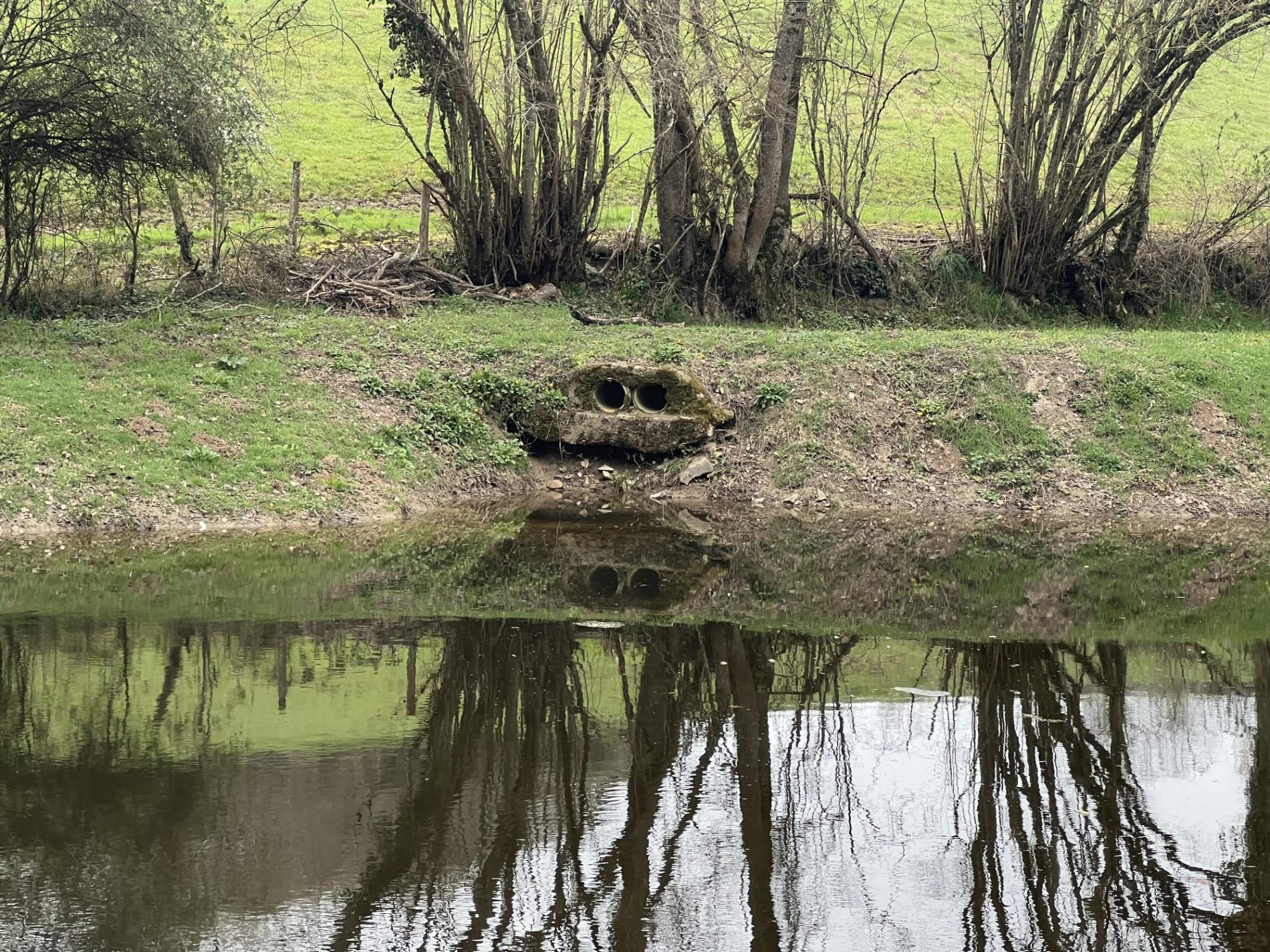 Etang de 4000 m2 sur une parcelle de 5 733 m2 !