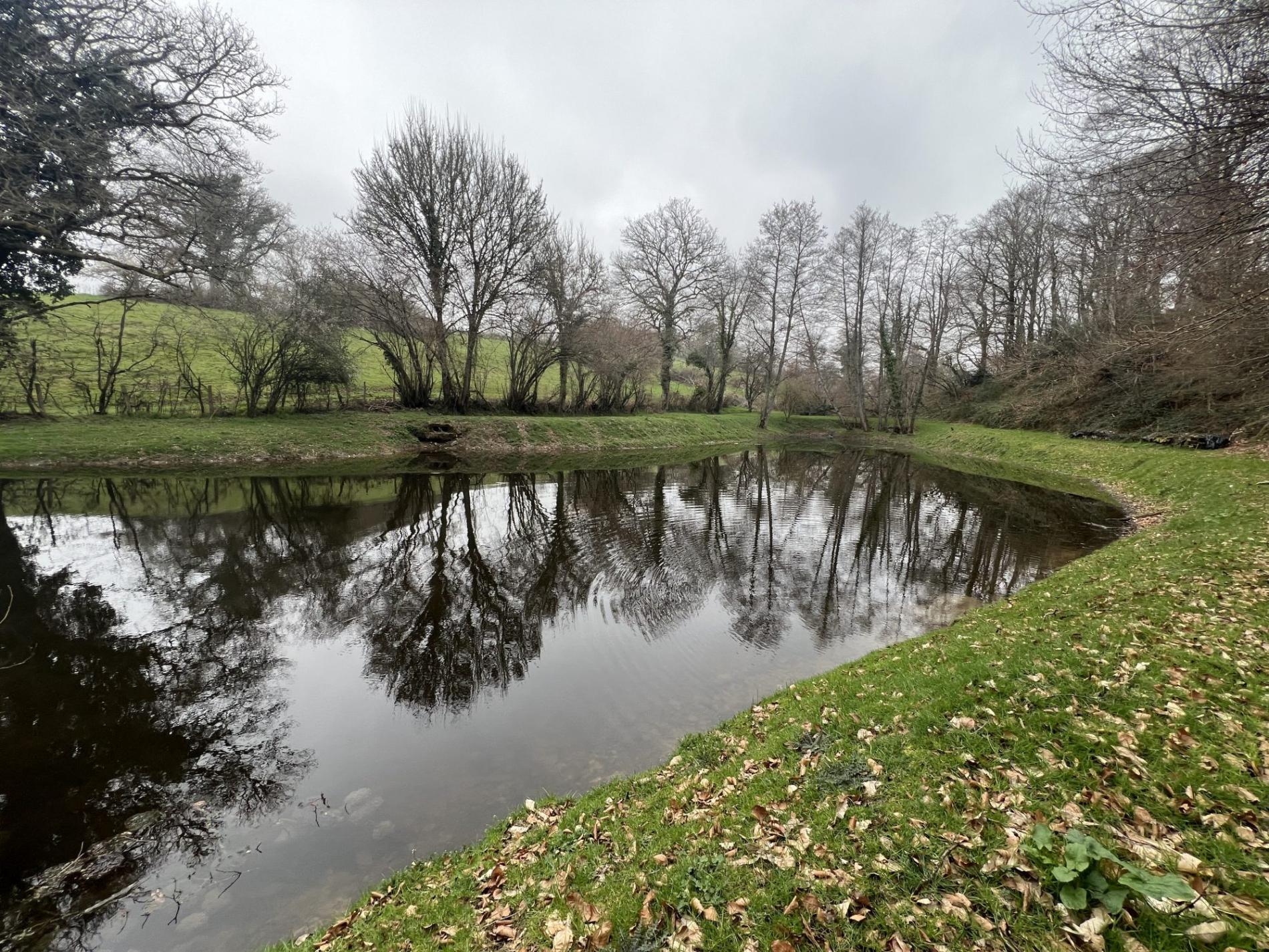 Etang de 4000 m2 sur une parcelle de 5 733 m2 !