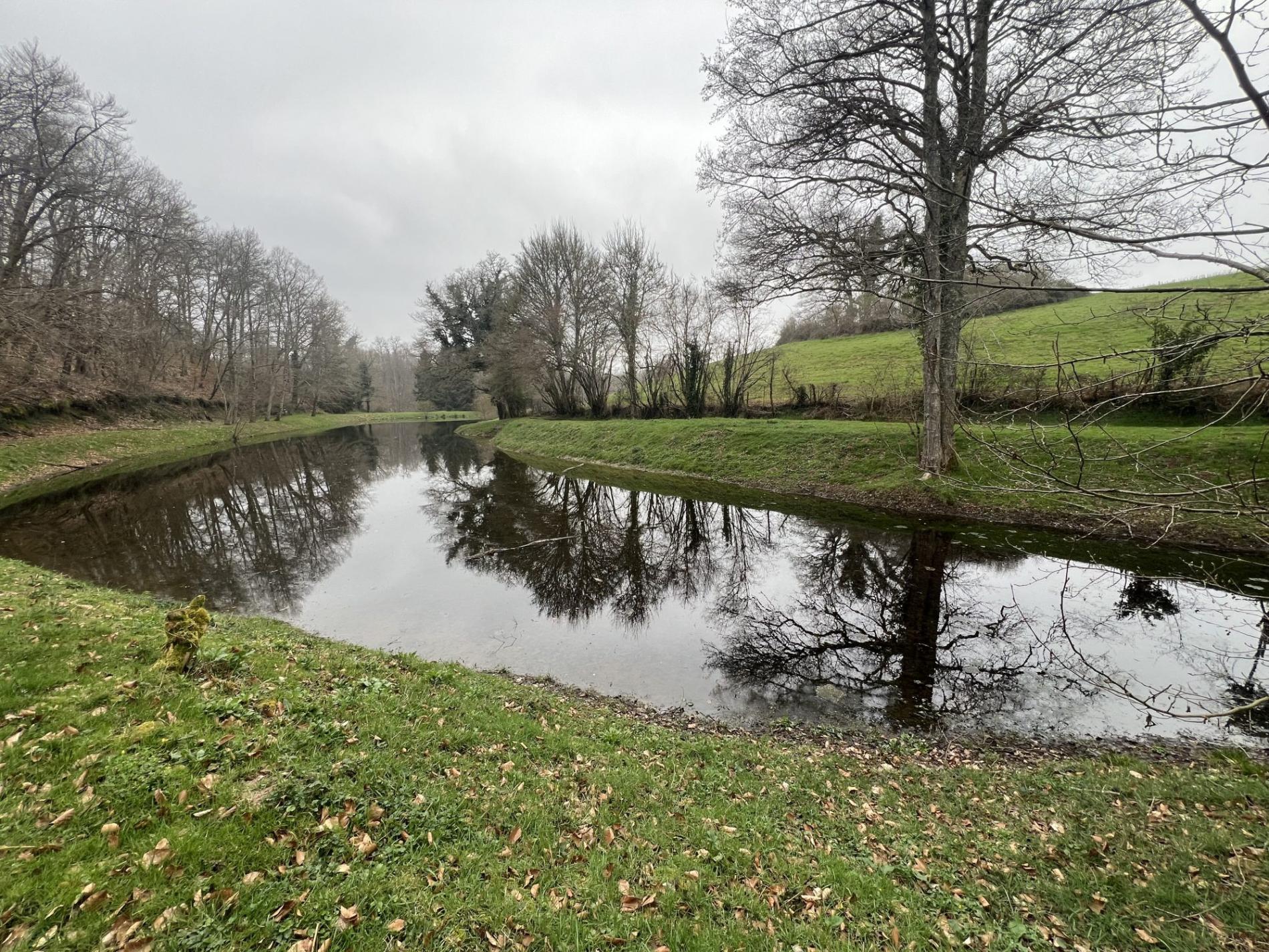 Etang de 4000 m2 sur une parcelle de 5 733 m2 !