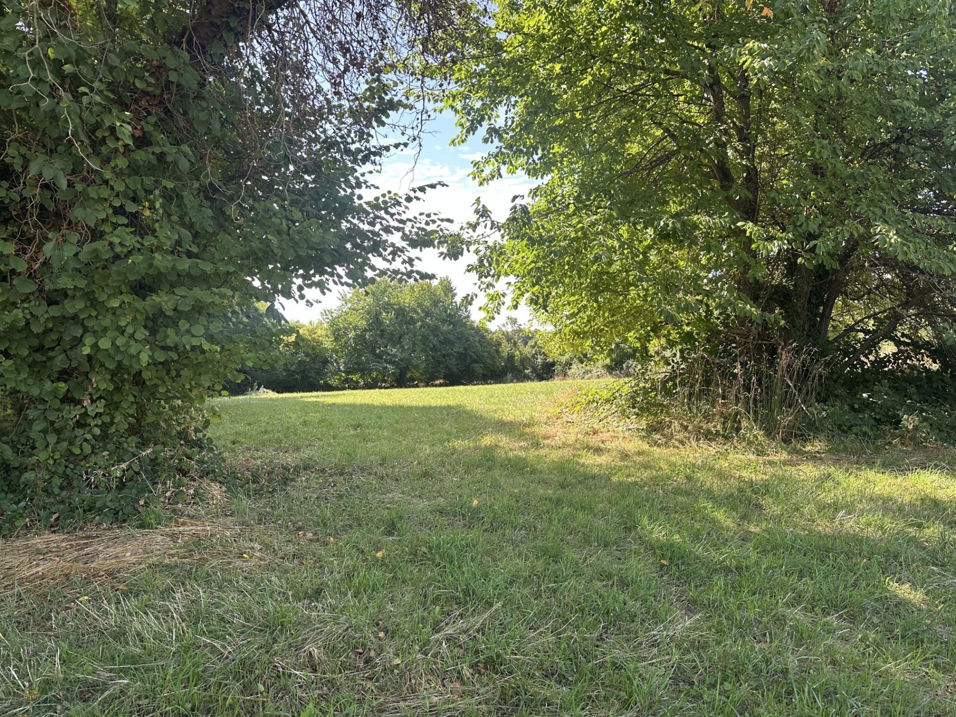 Terrain à bâtir !