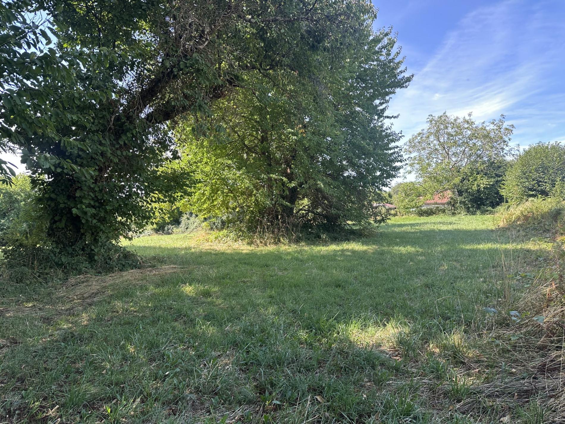 Terrain à bâtir !