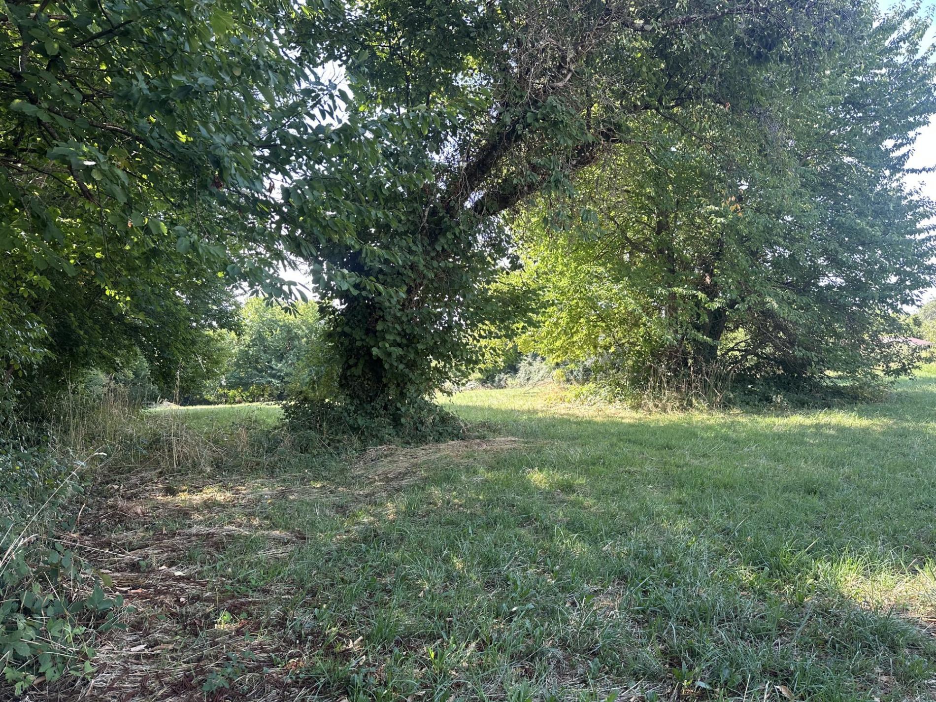 Terrain à bâtir !