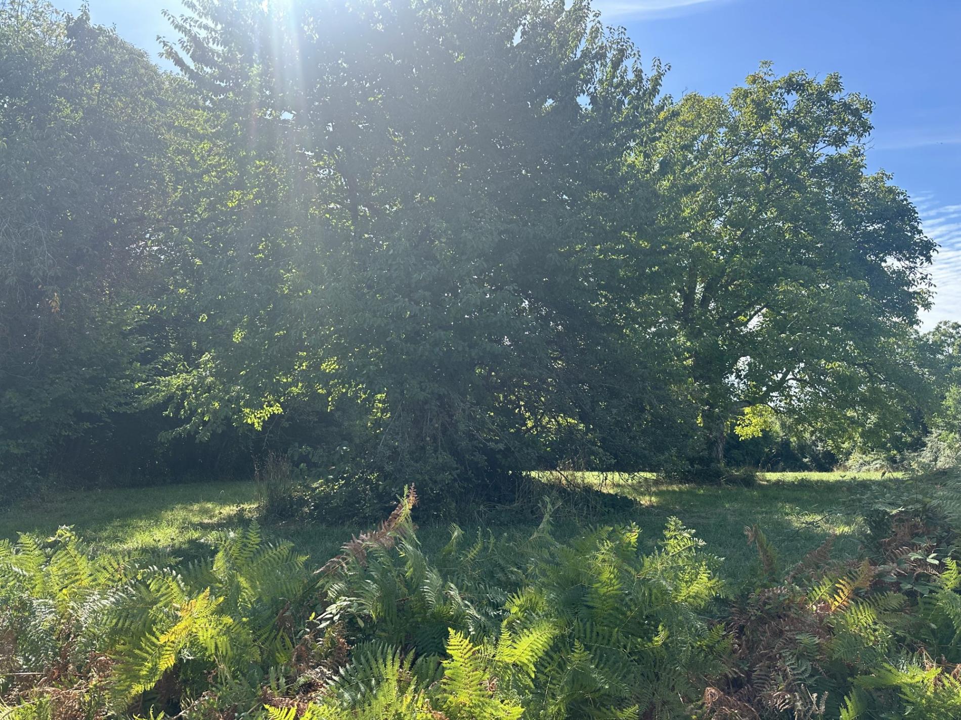 Terrain à bâtir !