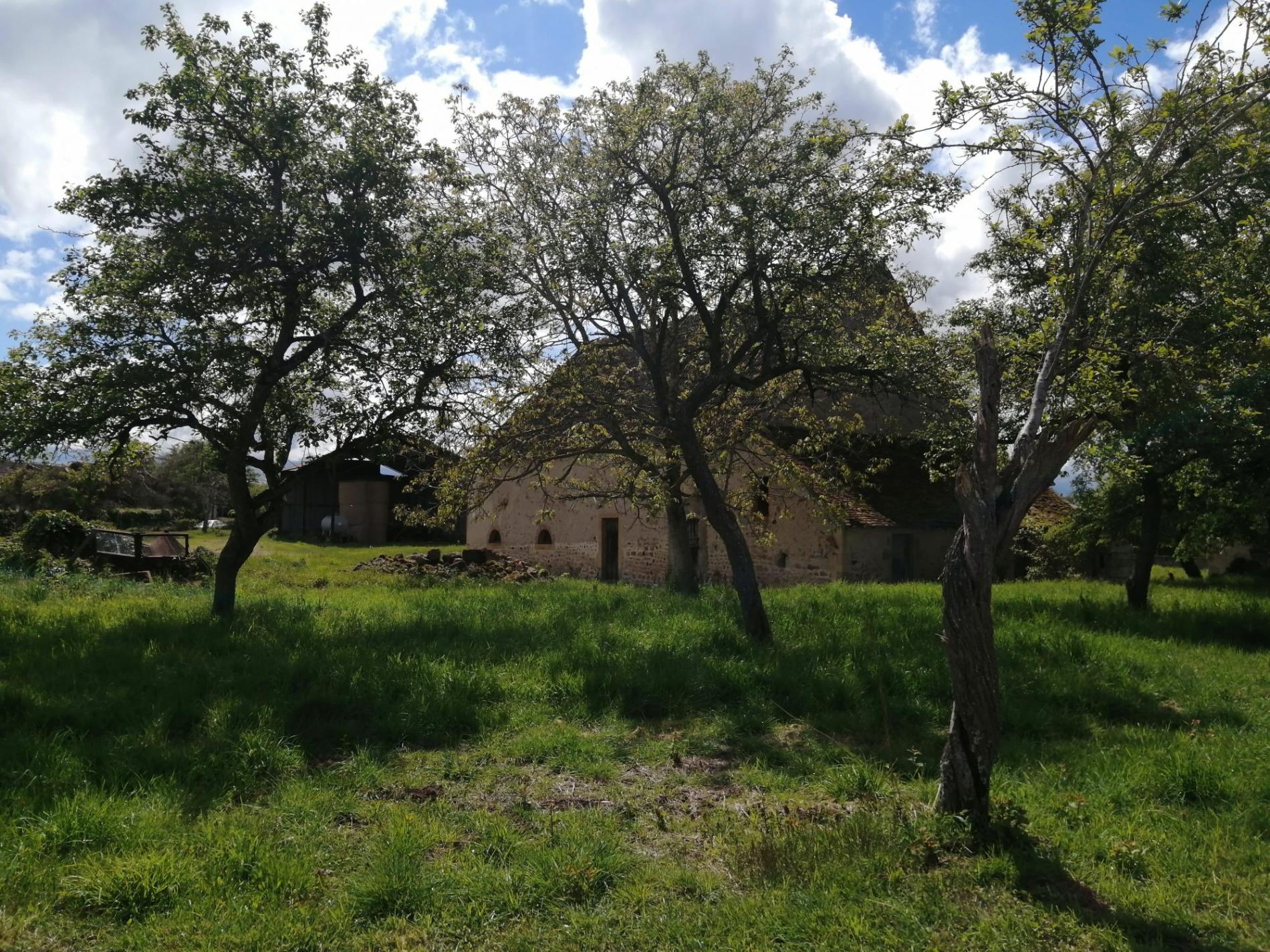Ancien corps de ferme sur plus d'un hectare !