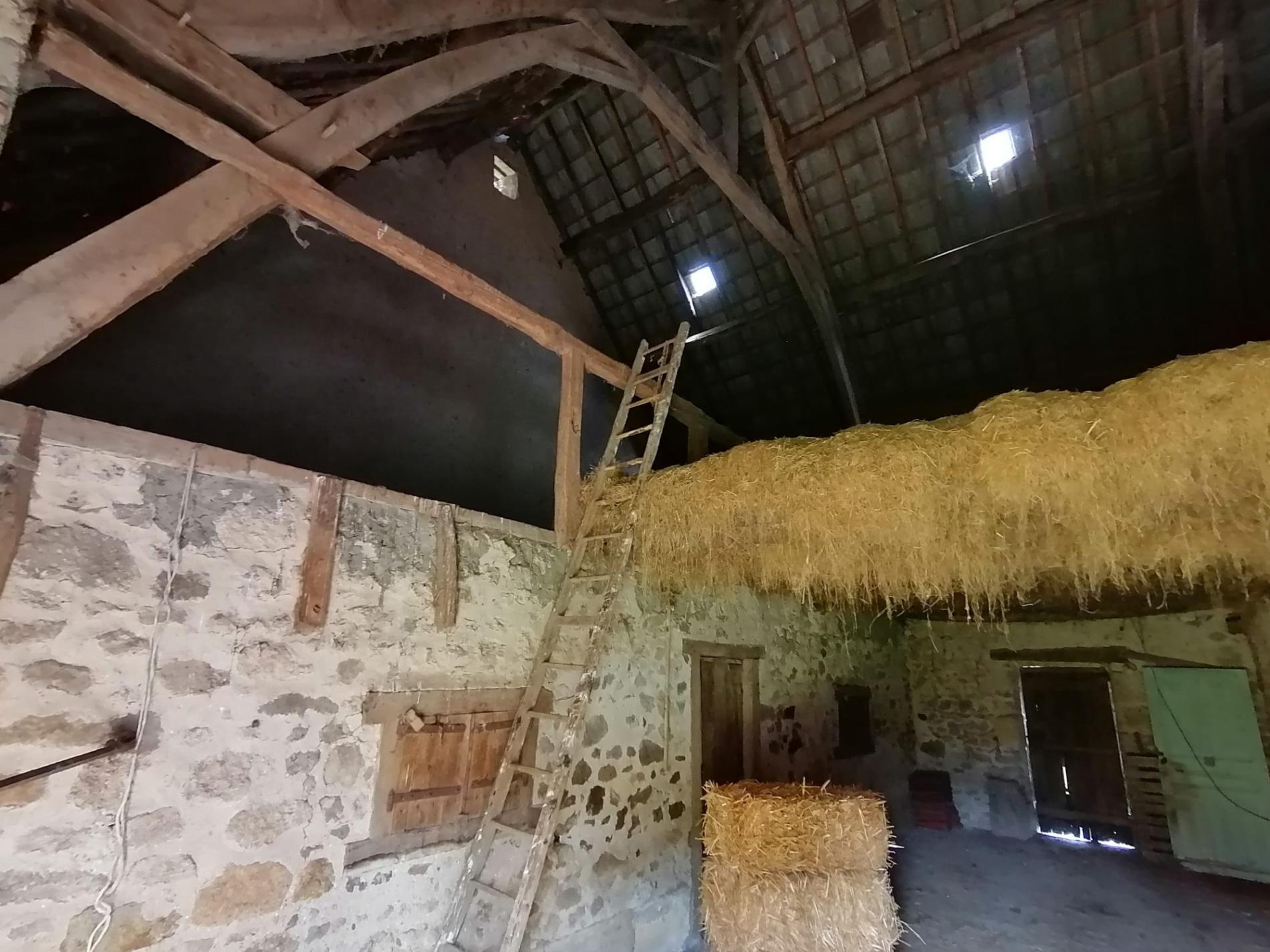 Ancien corps de ferme sur plus d'un hectare !