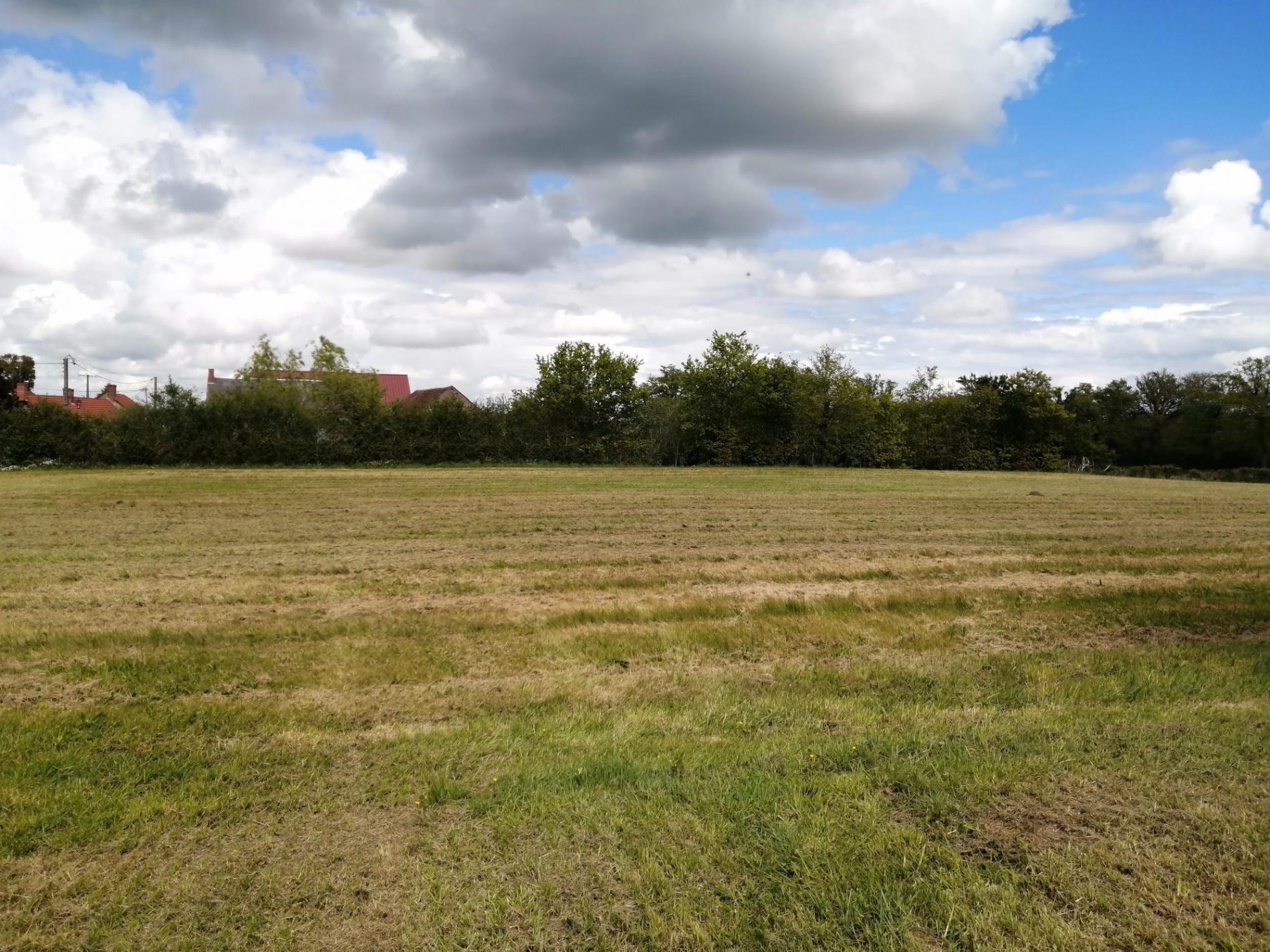 Ancien corps de ferme sur plus d'un hectare !