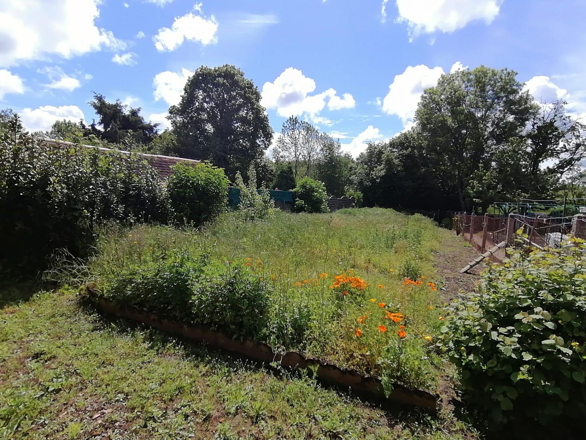 Maison de bourg avec dépendance et jardin !