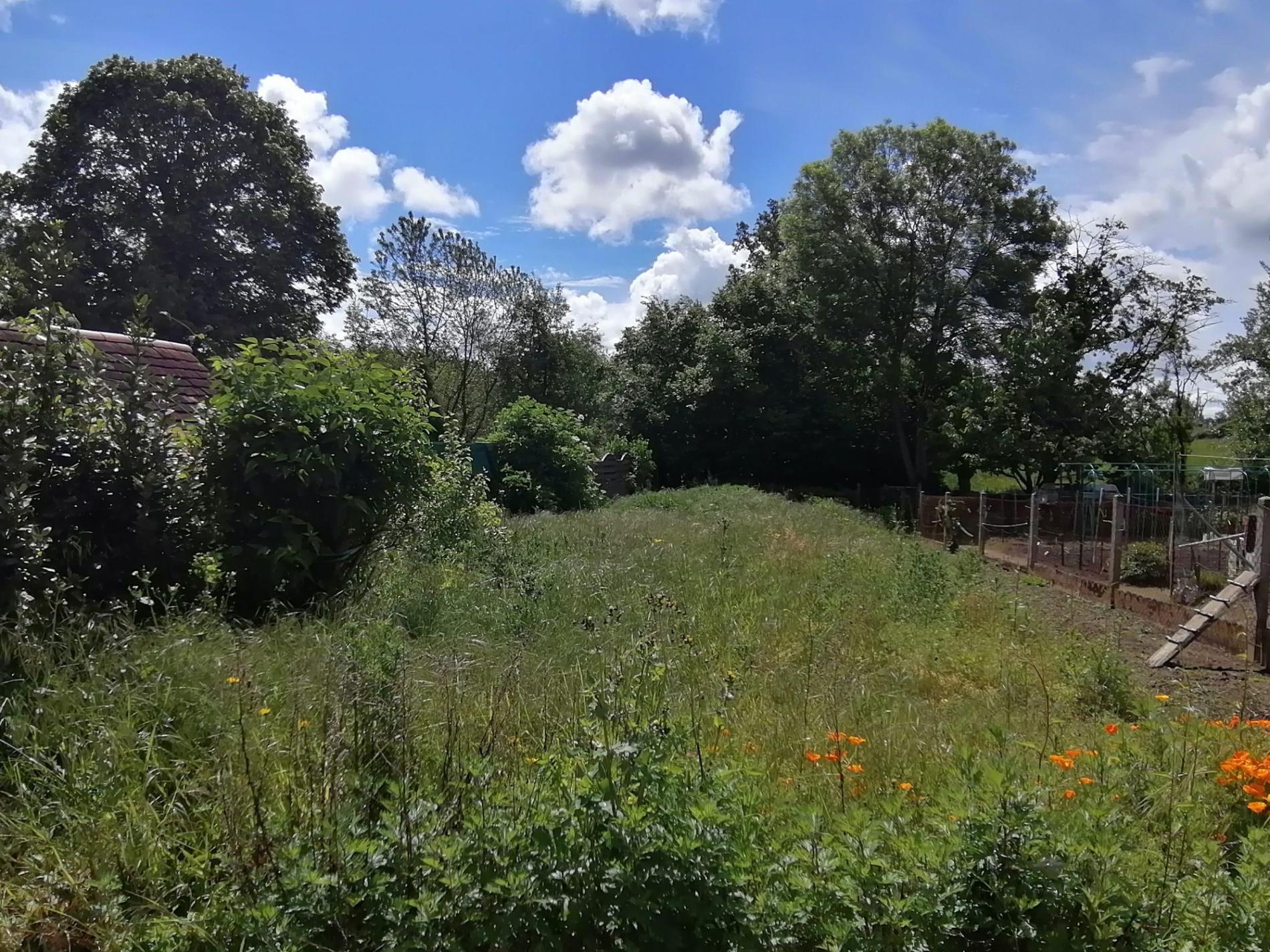 Maison de bourg avec dépendance et jardin !