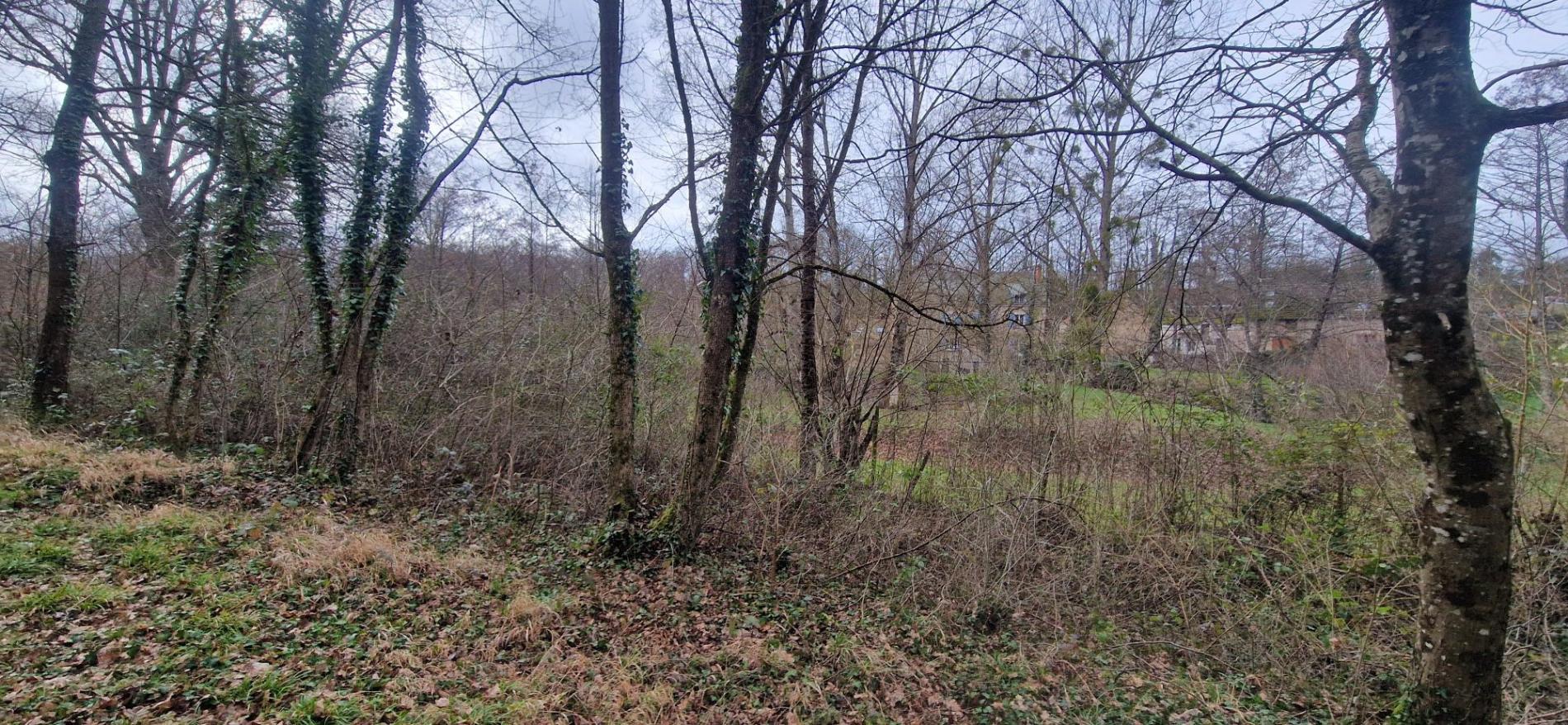 5,7 ha, étang, rivière et bois