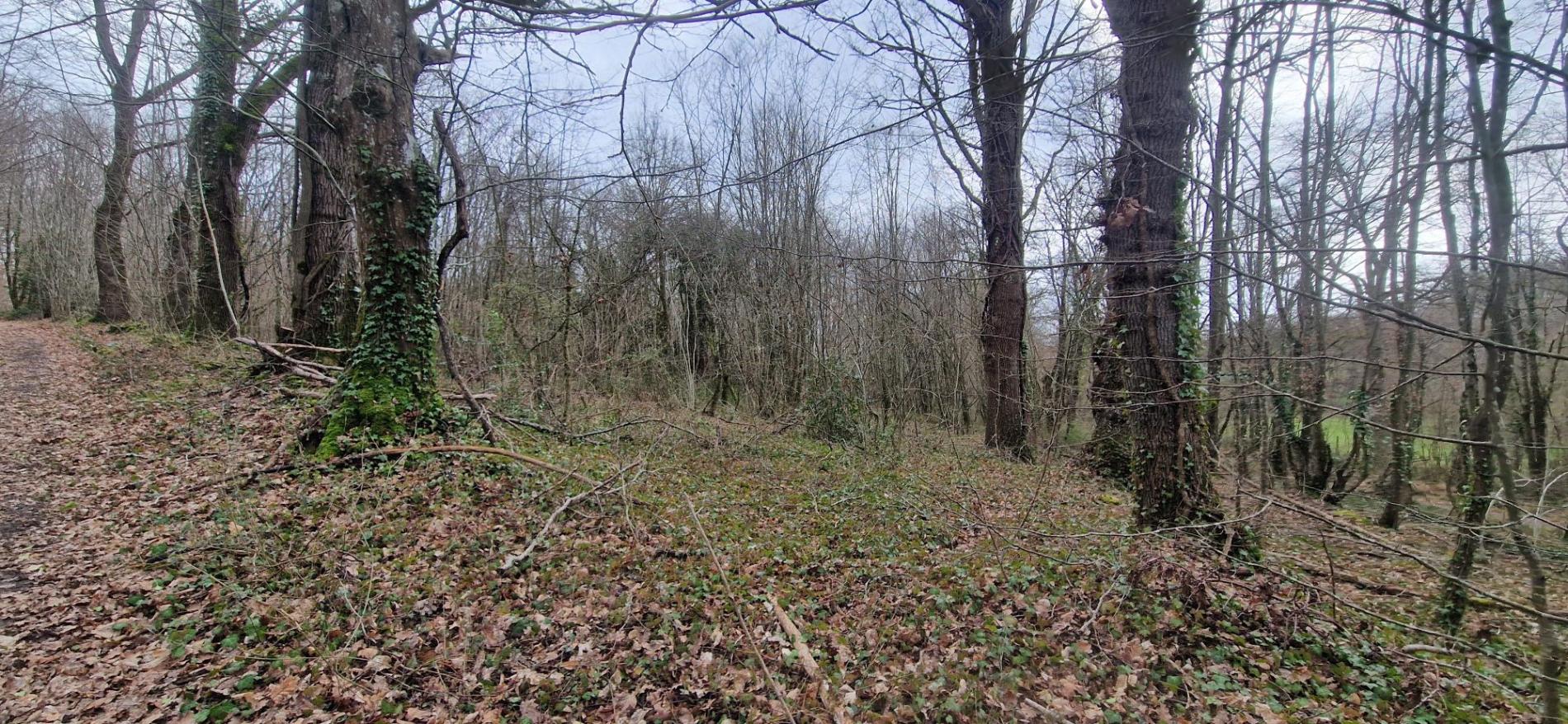 5,7 ha, étang, rivière et bois