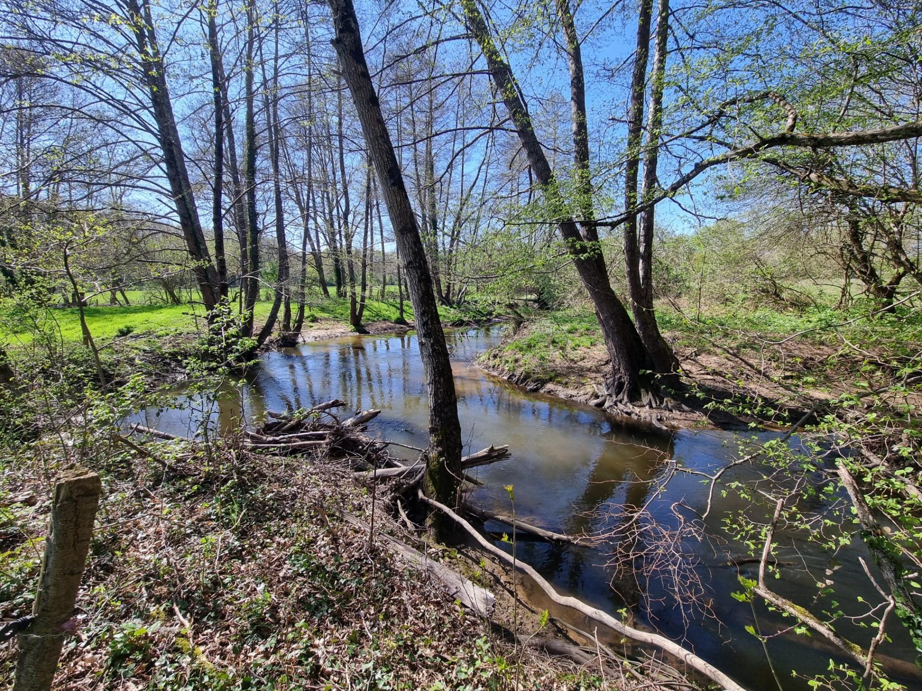 Propriété isolée sur 3ha !