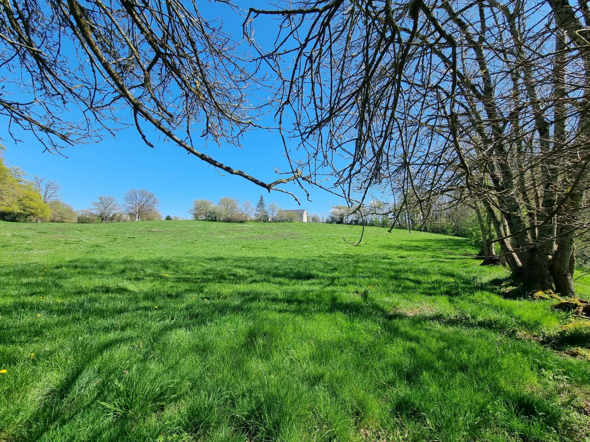 Propriété isolée sur 3ha !