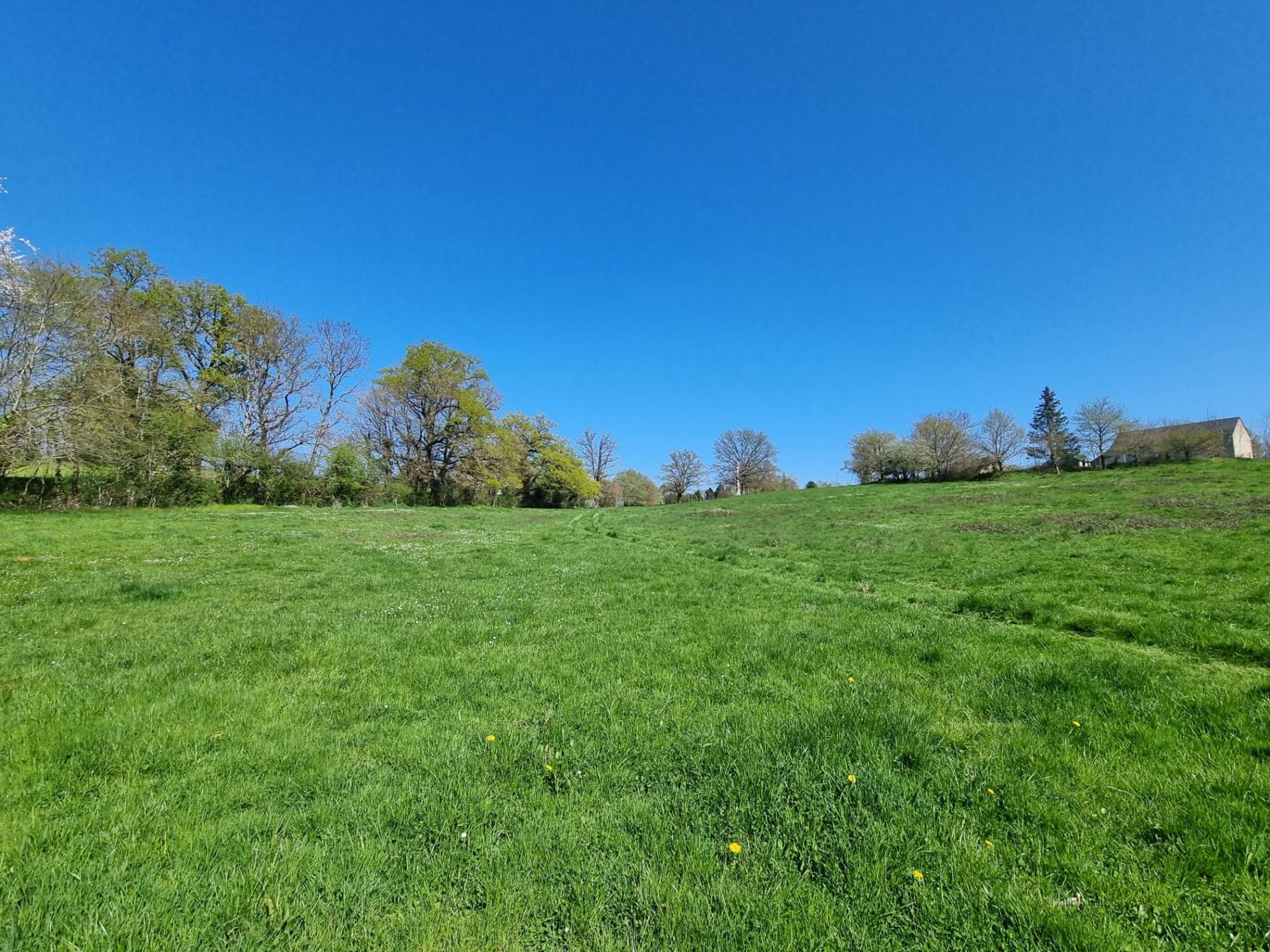 Propriété isolée sur 3ha !