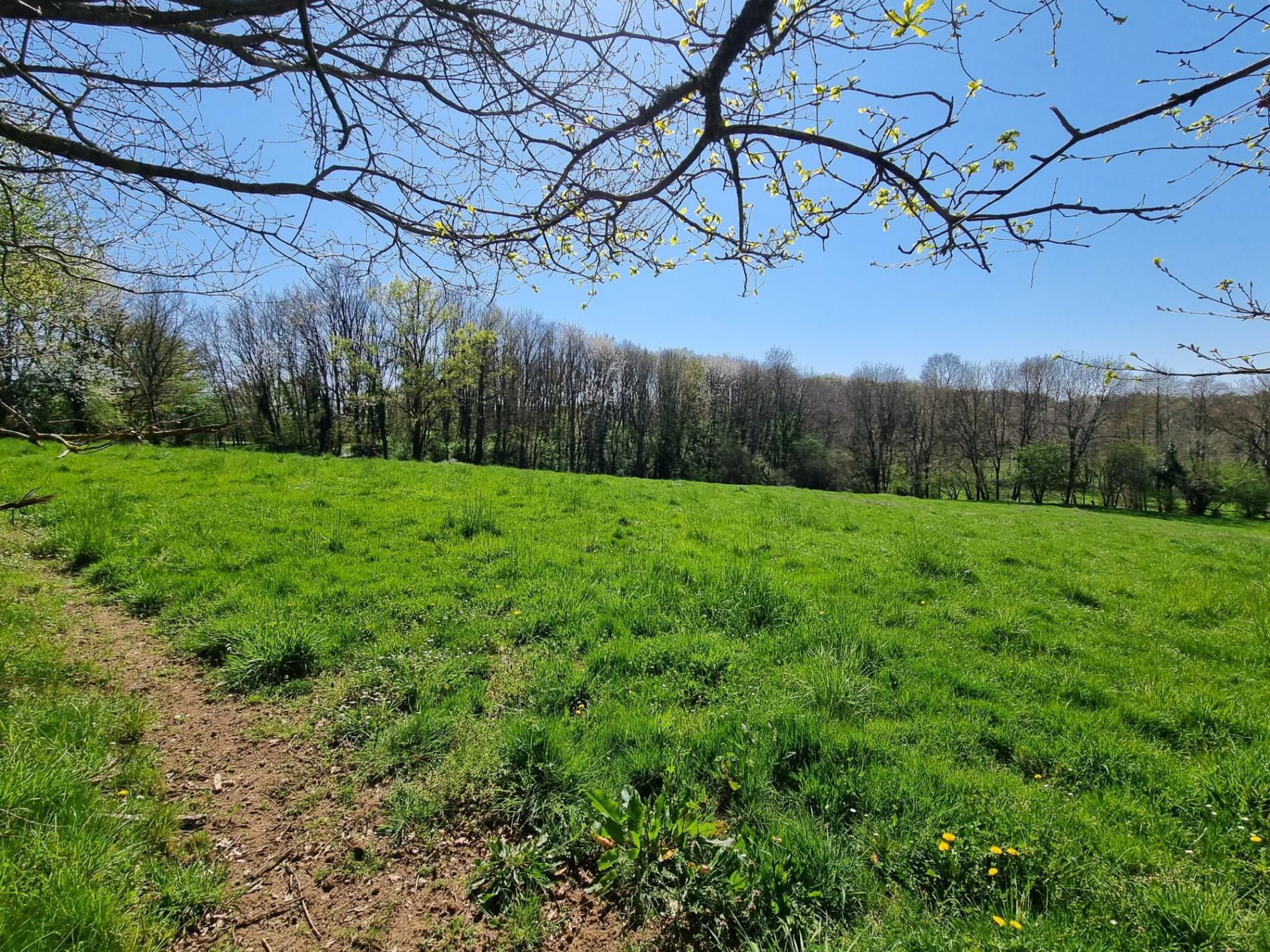 Propriété isolée sur 3ha !