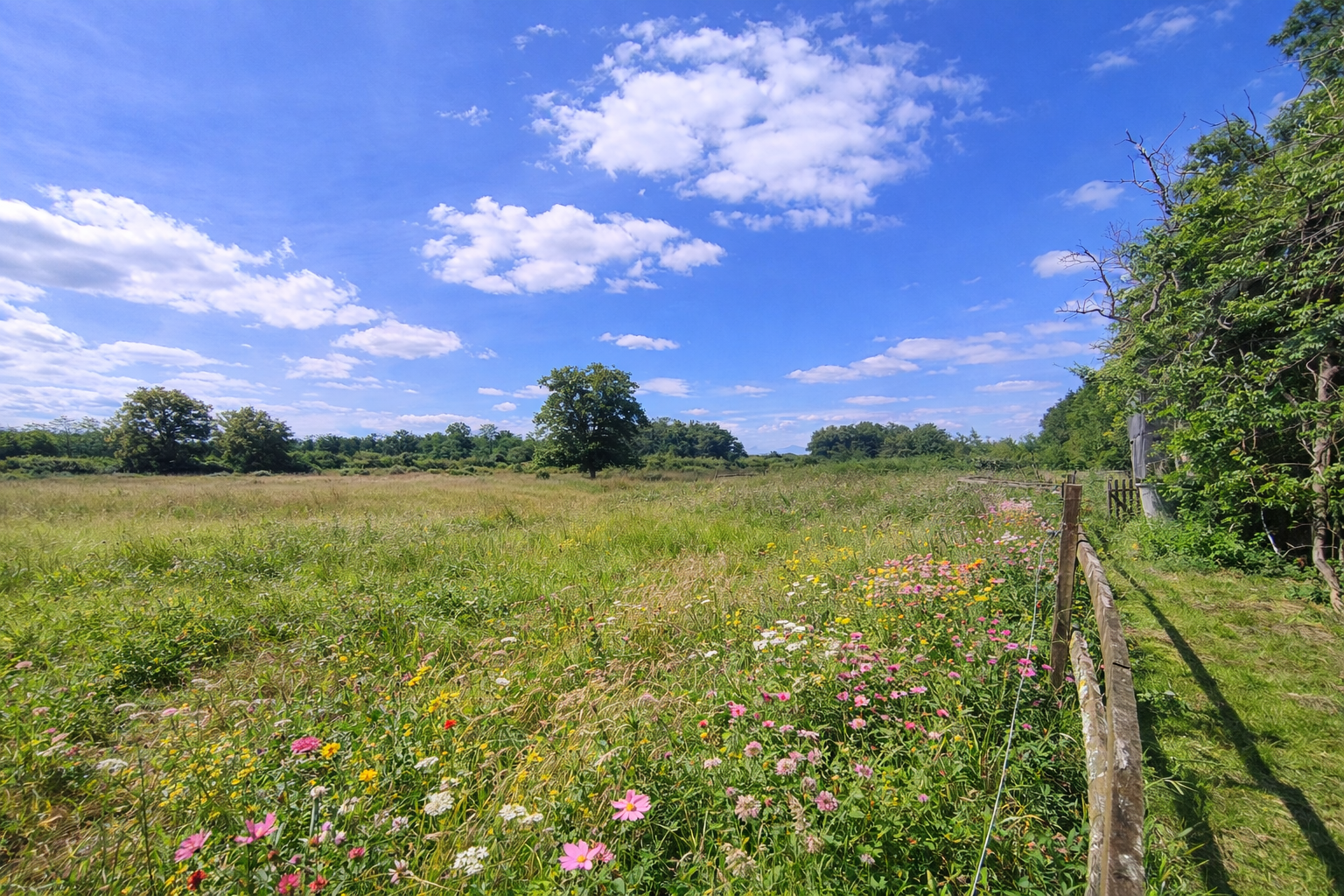 Maison de campagne avec grange à Porteau sur plus de 3ha !