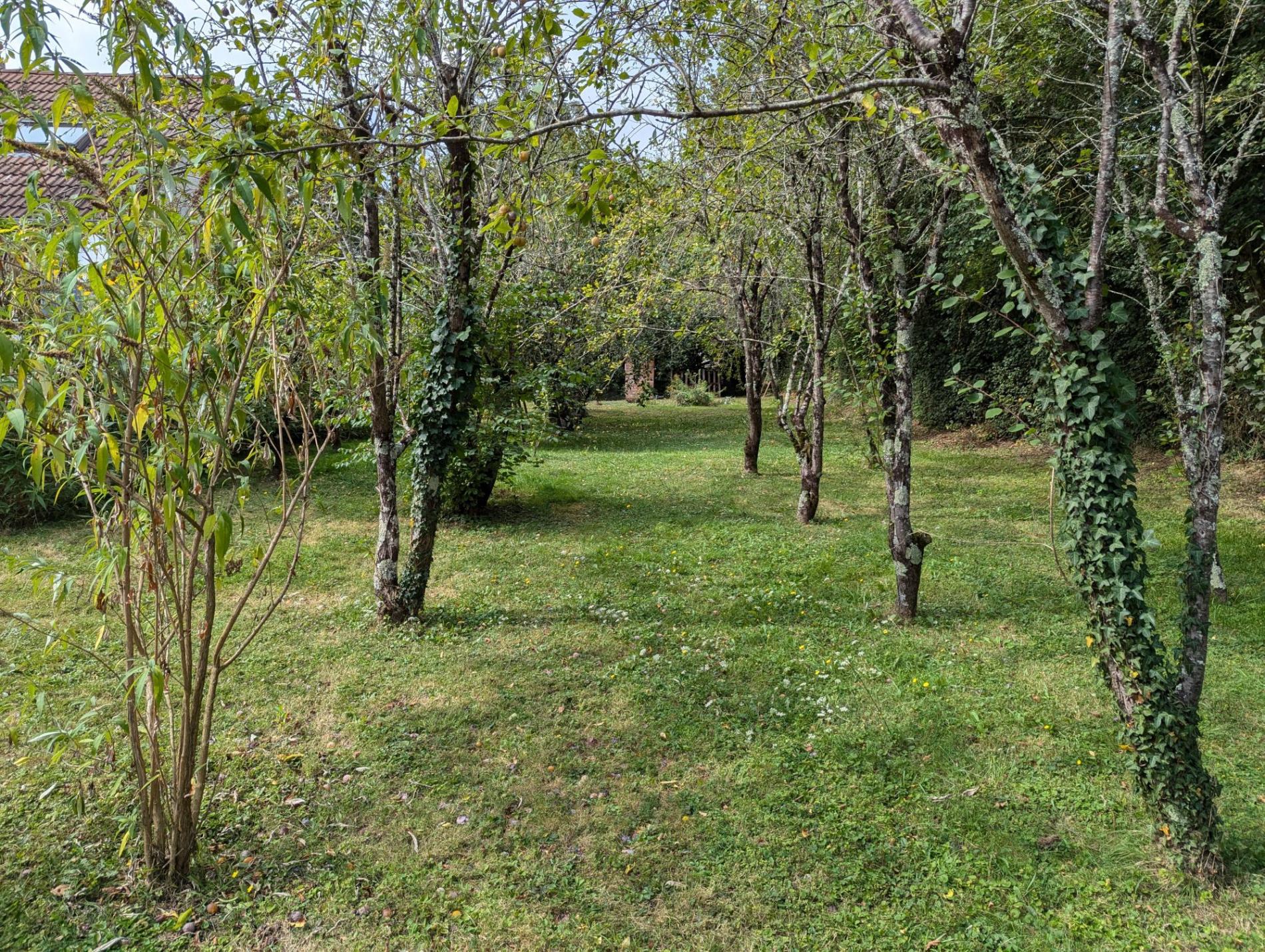 Maison de campagne sur parc arboré !