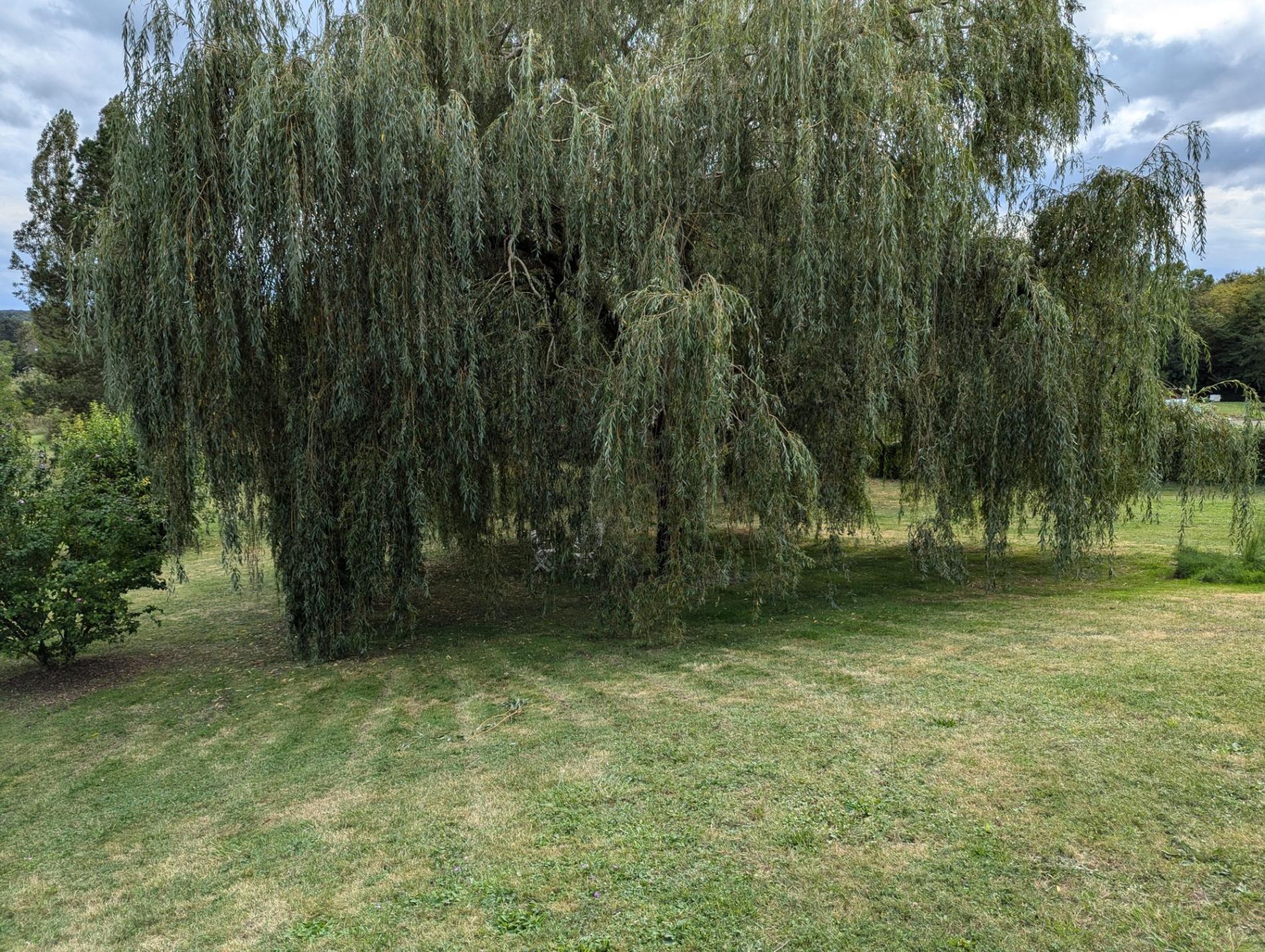 Maison de campagne sur parc arboré !