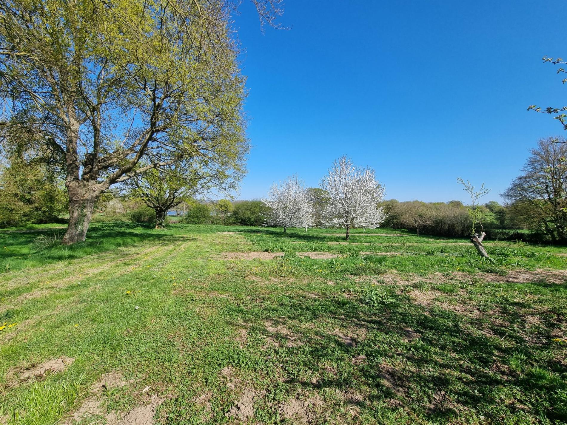 Propriété en campagne !