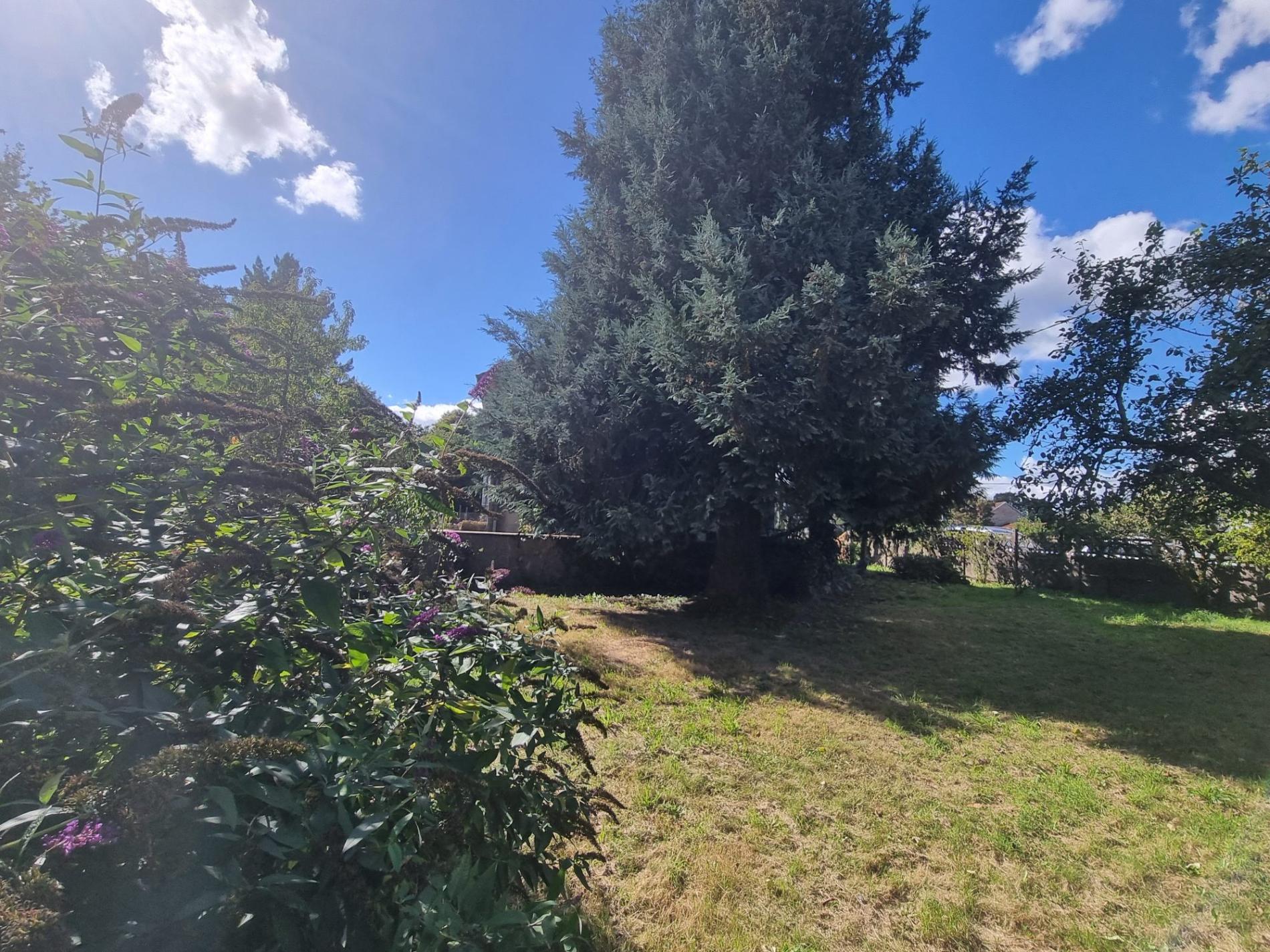 Maison à rénover avec jardin !