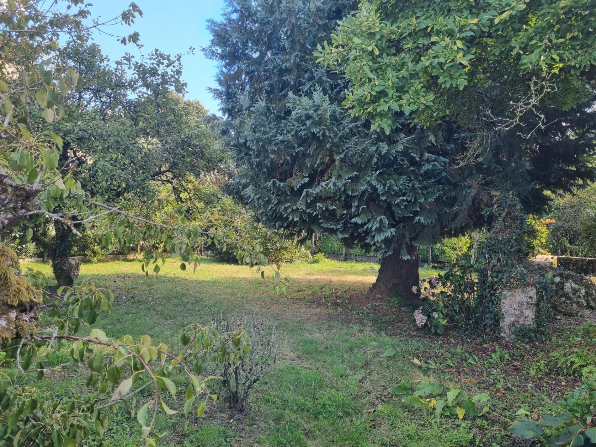 Maison à rénover avec jardin !