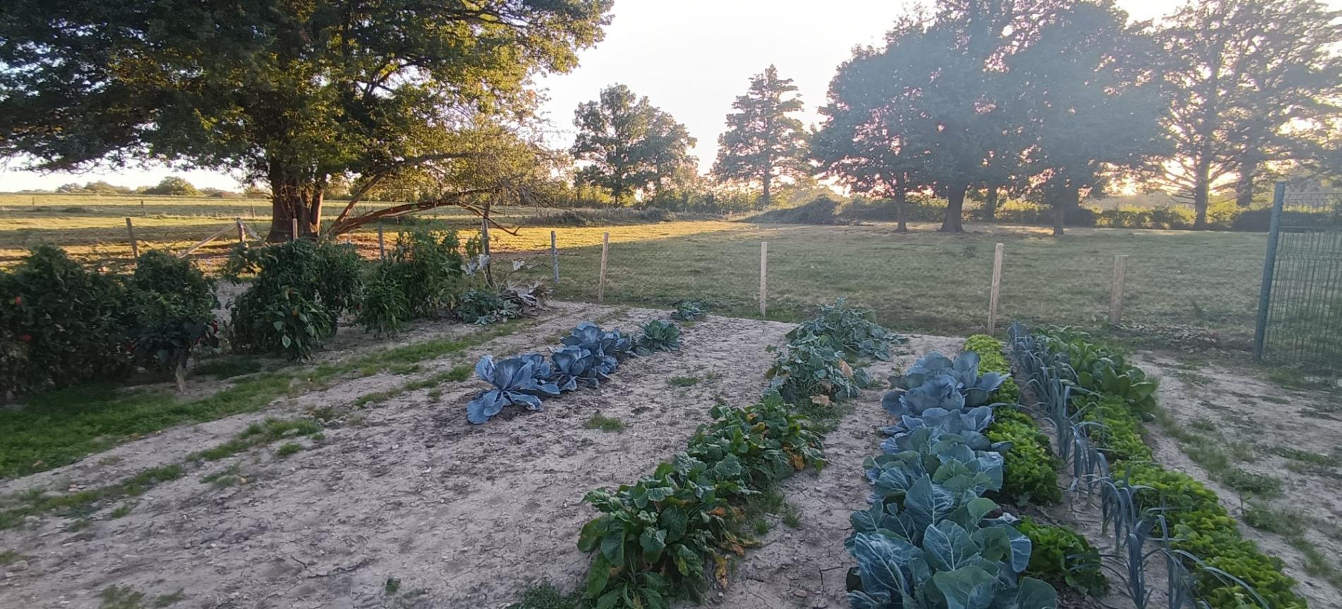 Maison en pleine campagne !
