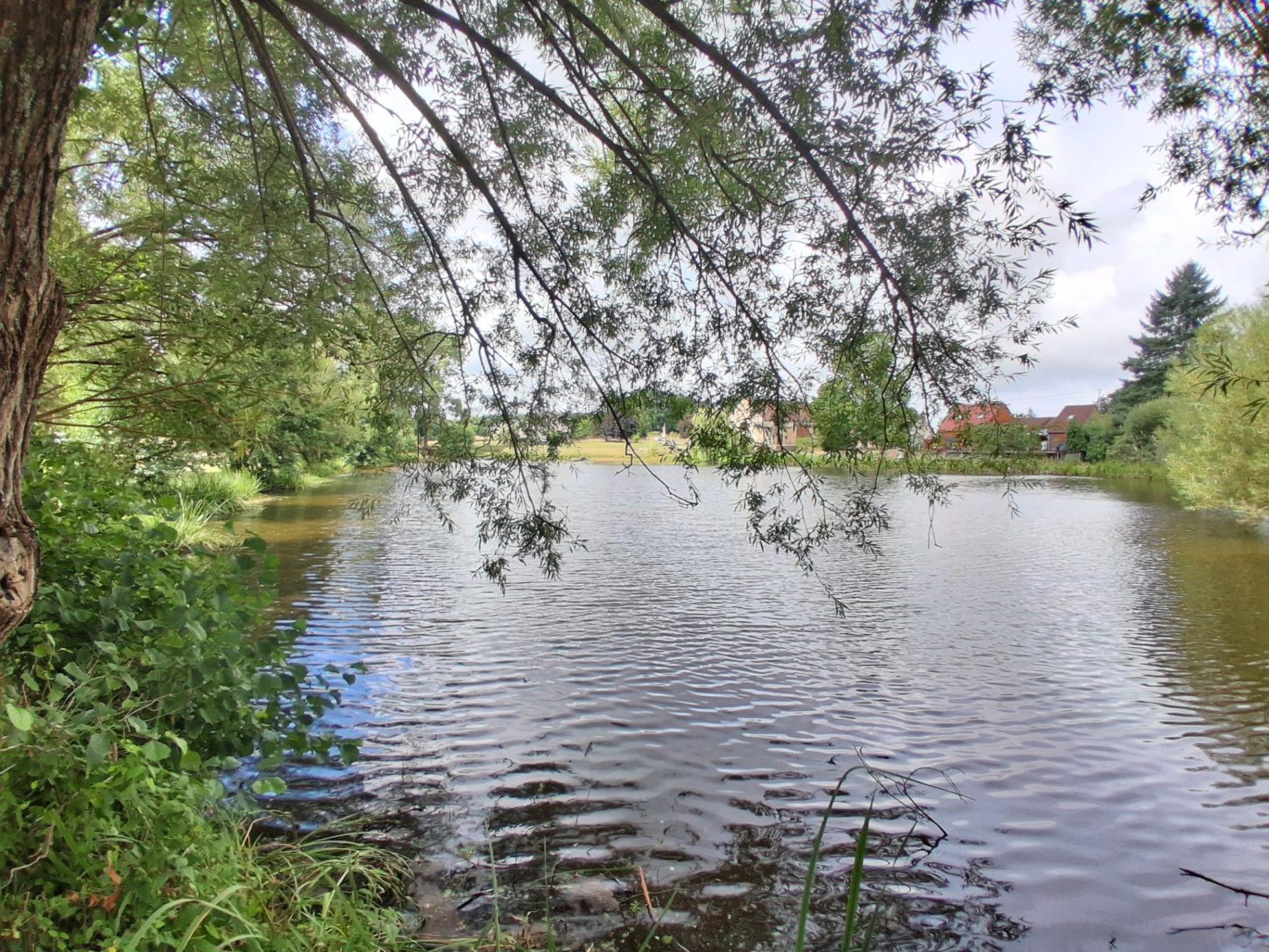 Superbe maison des années 30