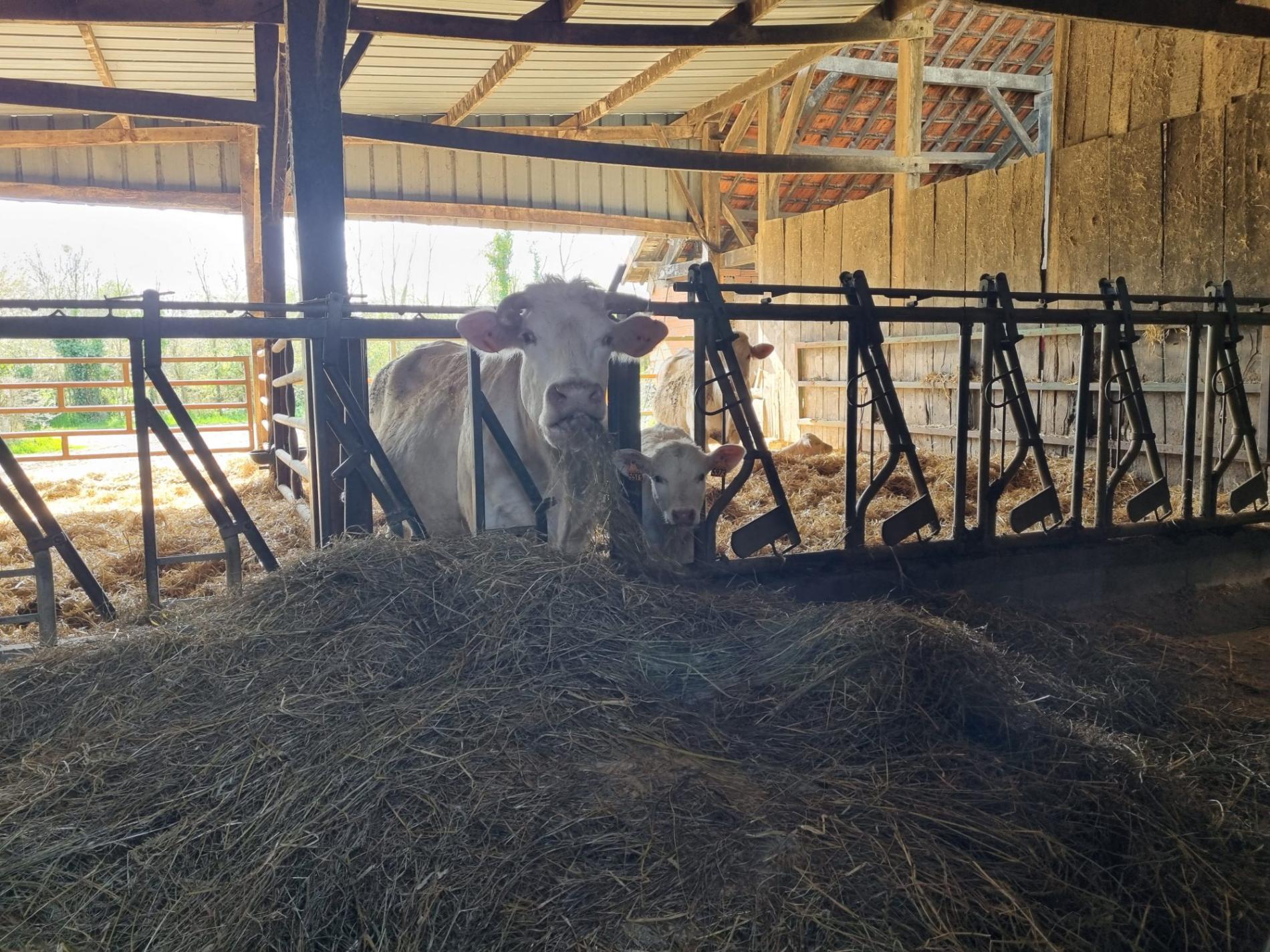 Ancien corps de ferme !