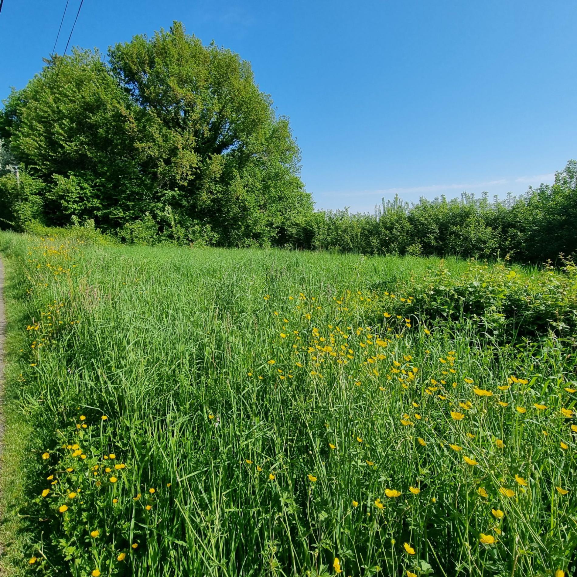 Maison avec grange à porteau !
