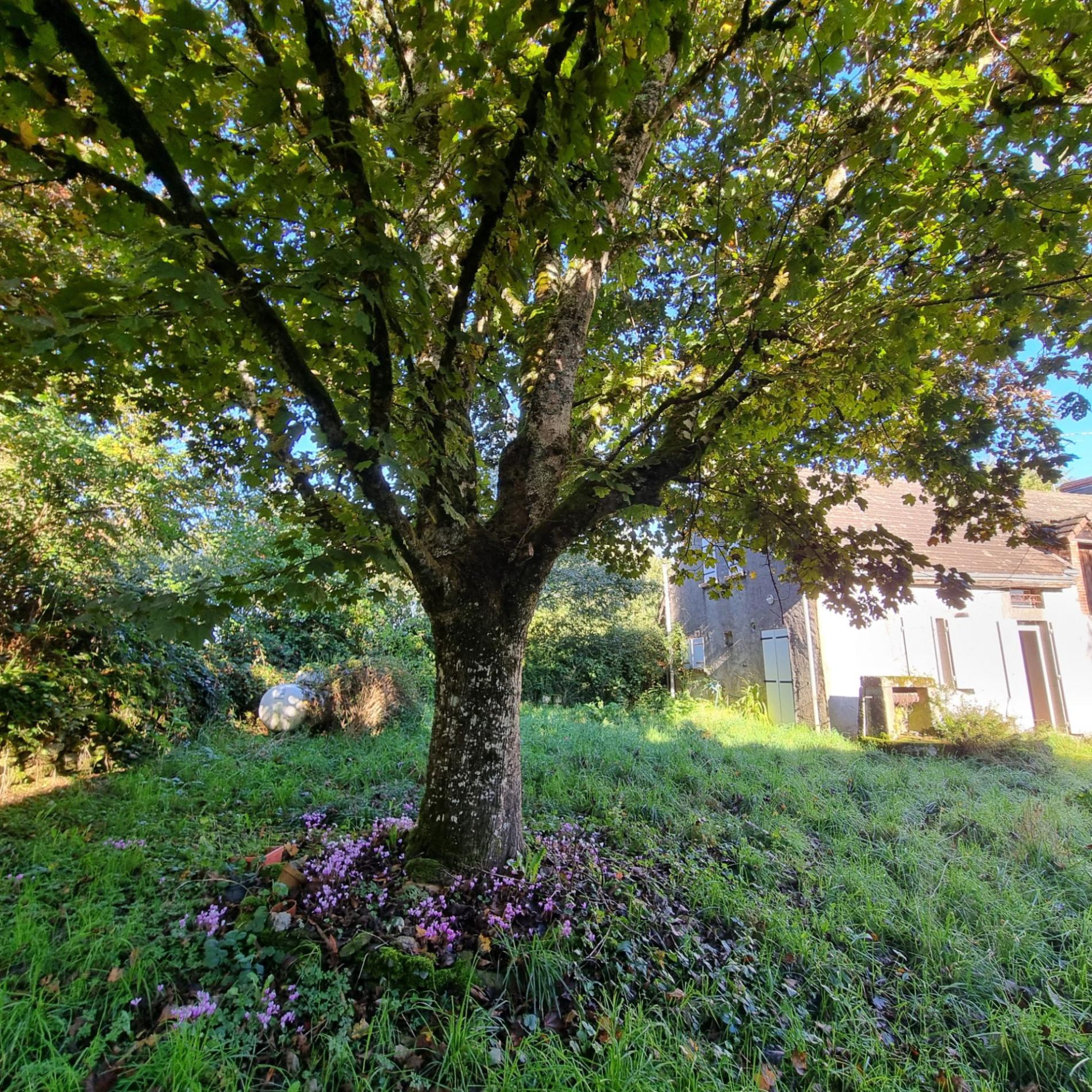 Maison avec grange à porteau !