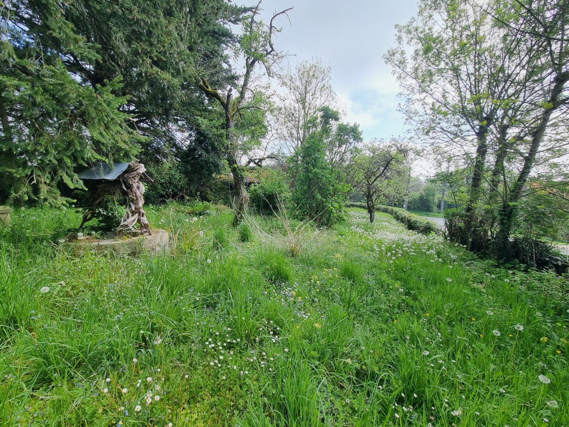 Belle maison à rénover !