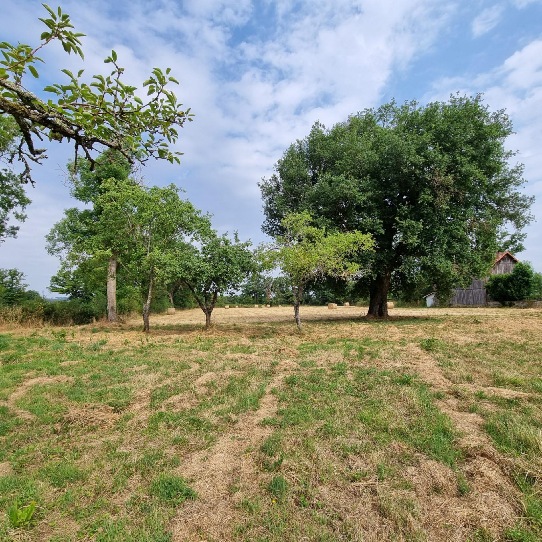 Ancien corps de ferme à rénover !