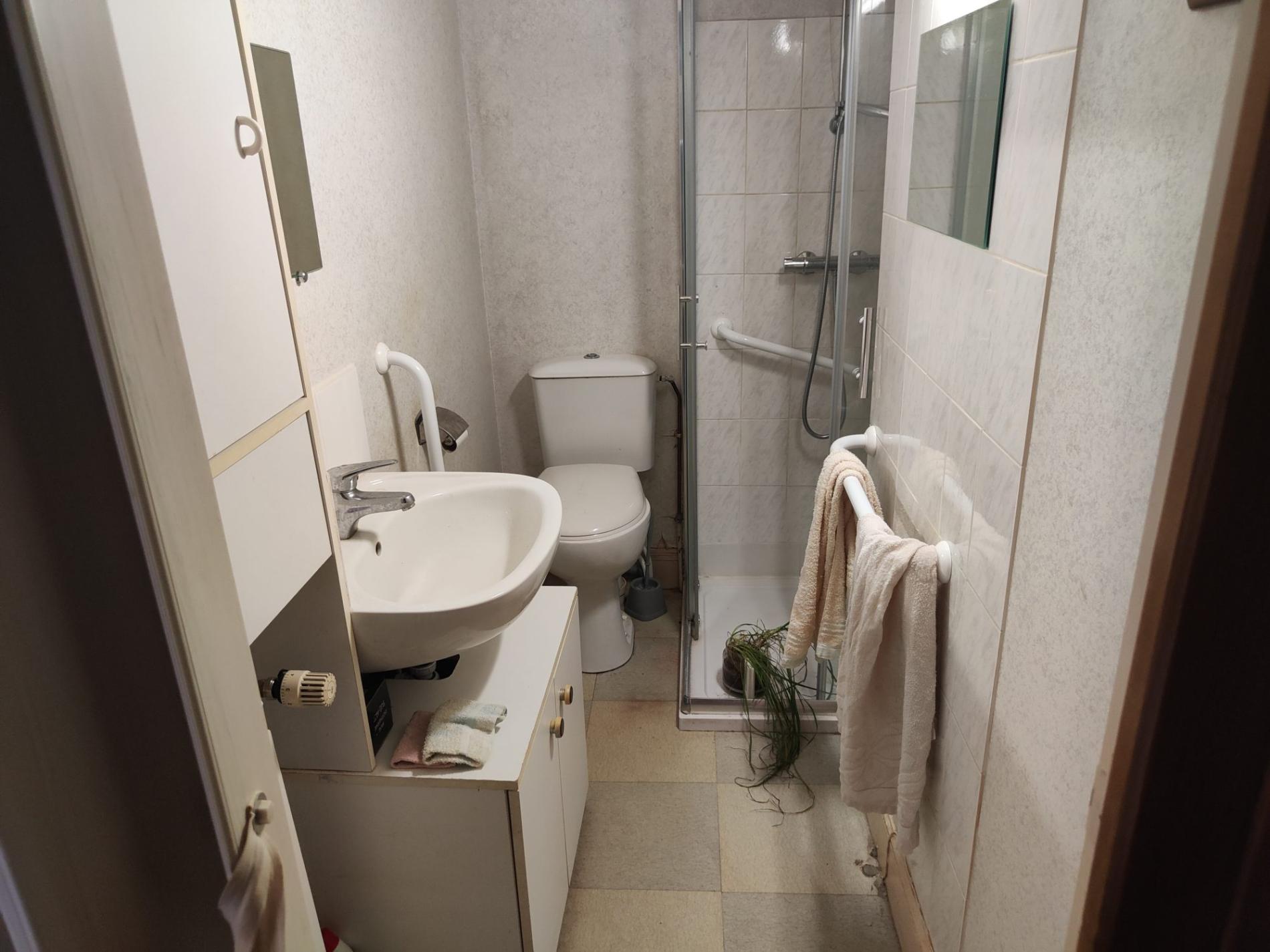 Ensemble de deux maisons de ville avec jardin !