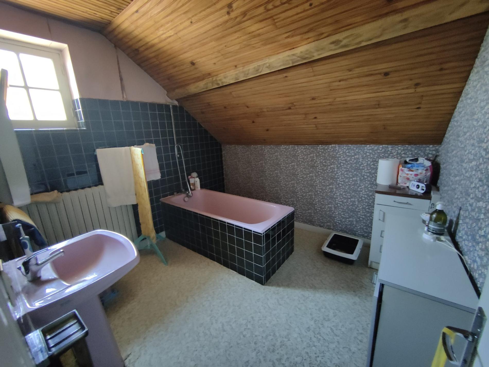 Ensemble de deux maisons de ville avec jardin !